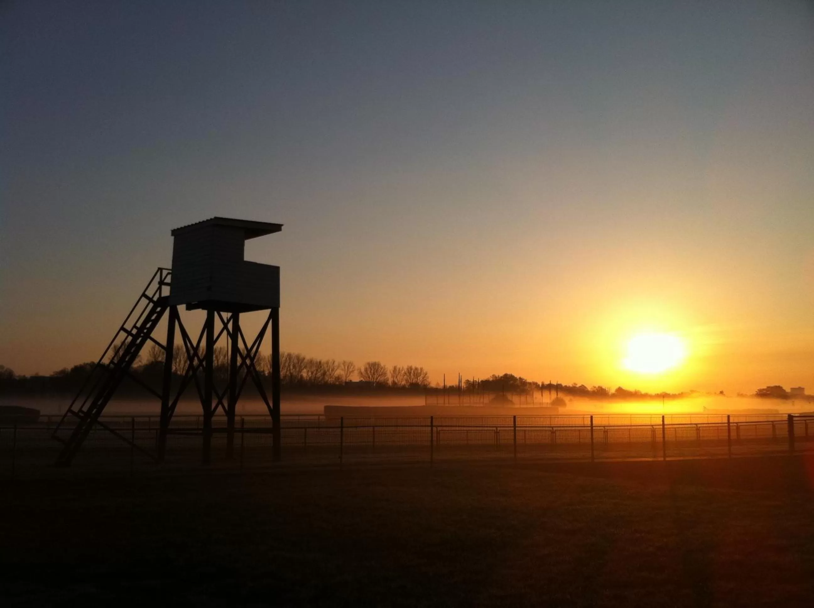Garden in ATLANTIC Hotel Galopprennbahn