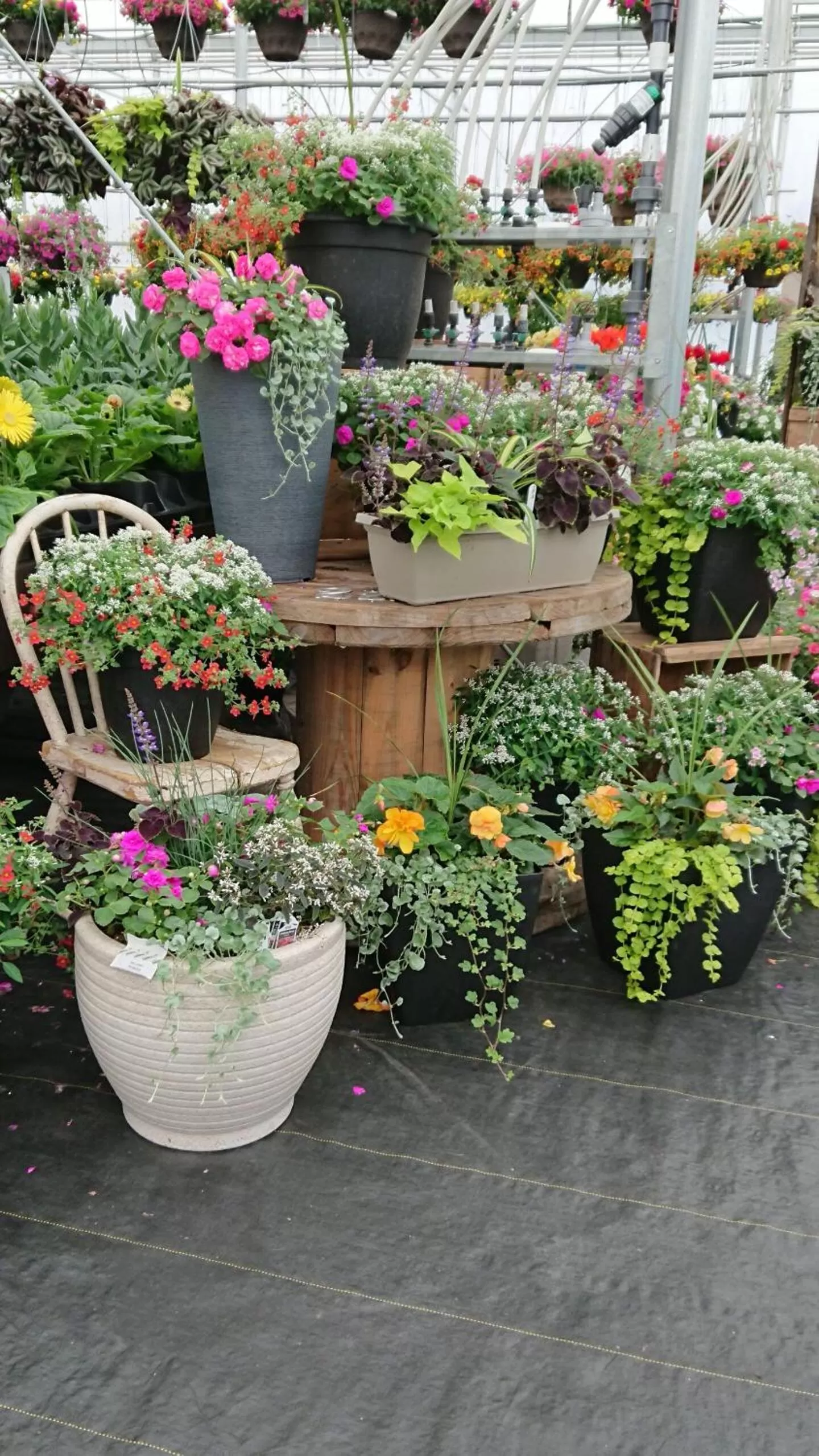 Neighbourhood in Colborne Bed and Breakfast