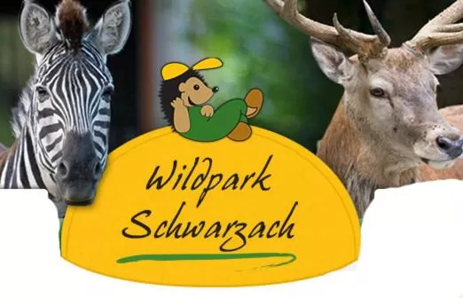 Hotel Goldener Hirsch Mosbach