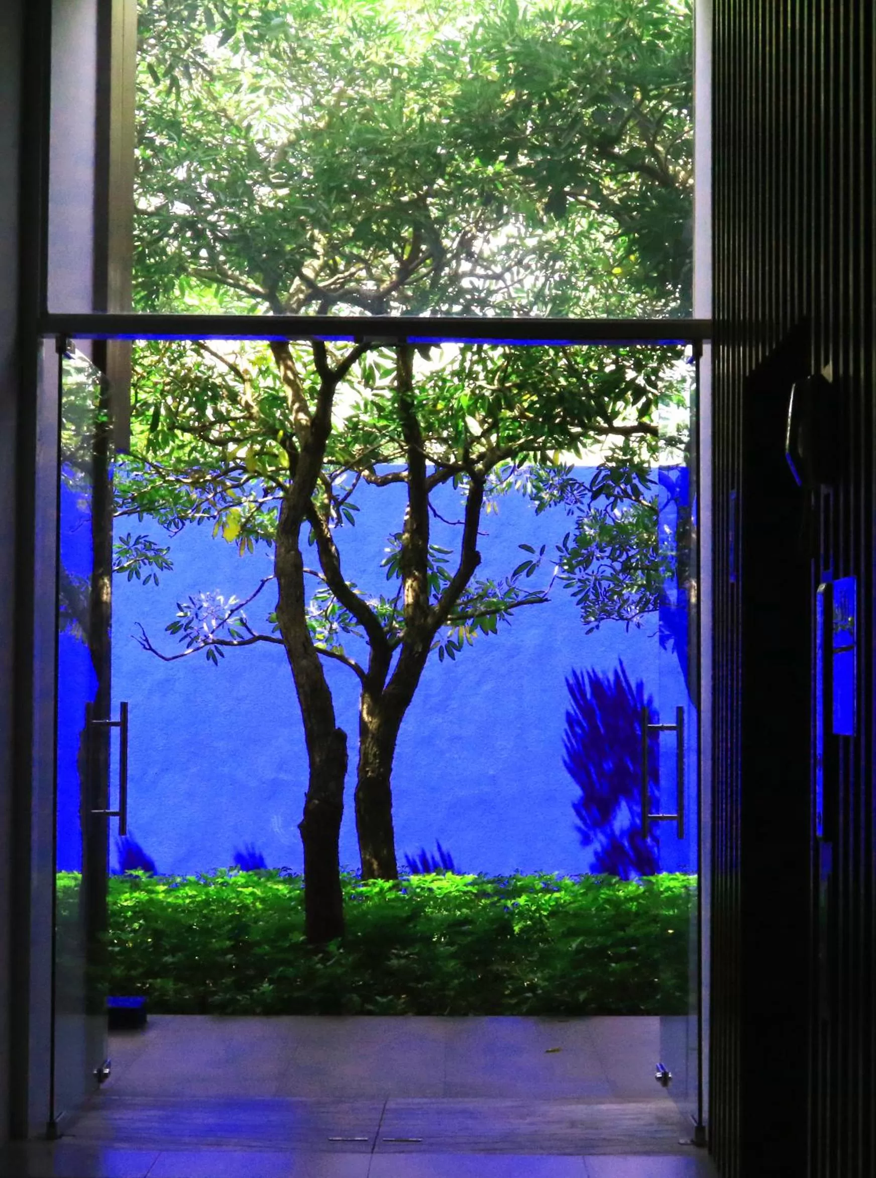 Garden in Ace of Hua Hin Resort - SHA PLUS