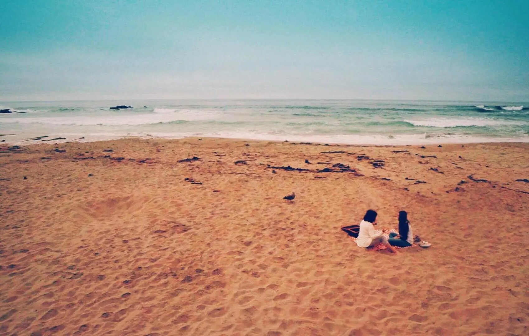 Natural landscape in Beach House Inn