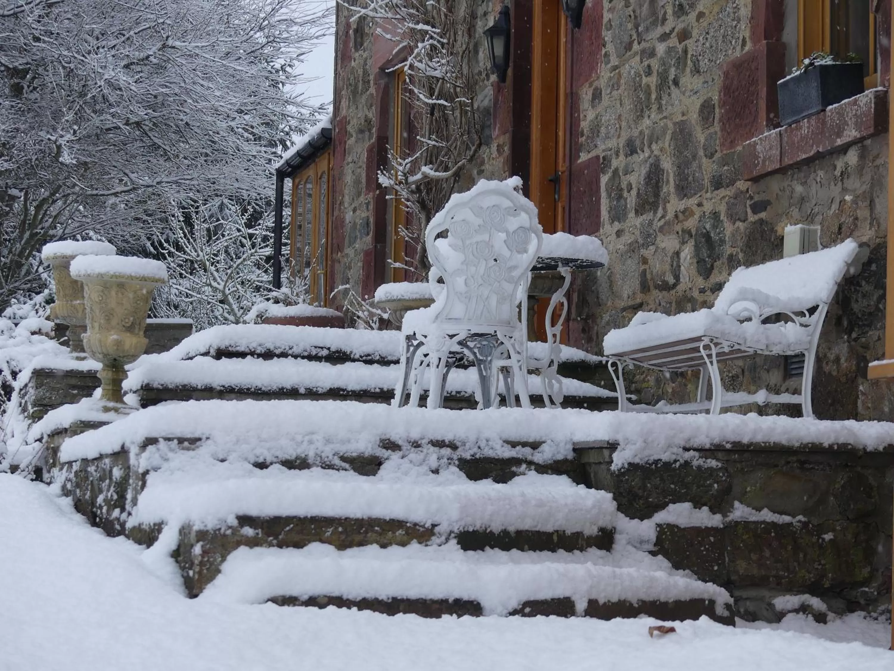 Winter in Silverstripe