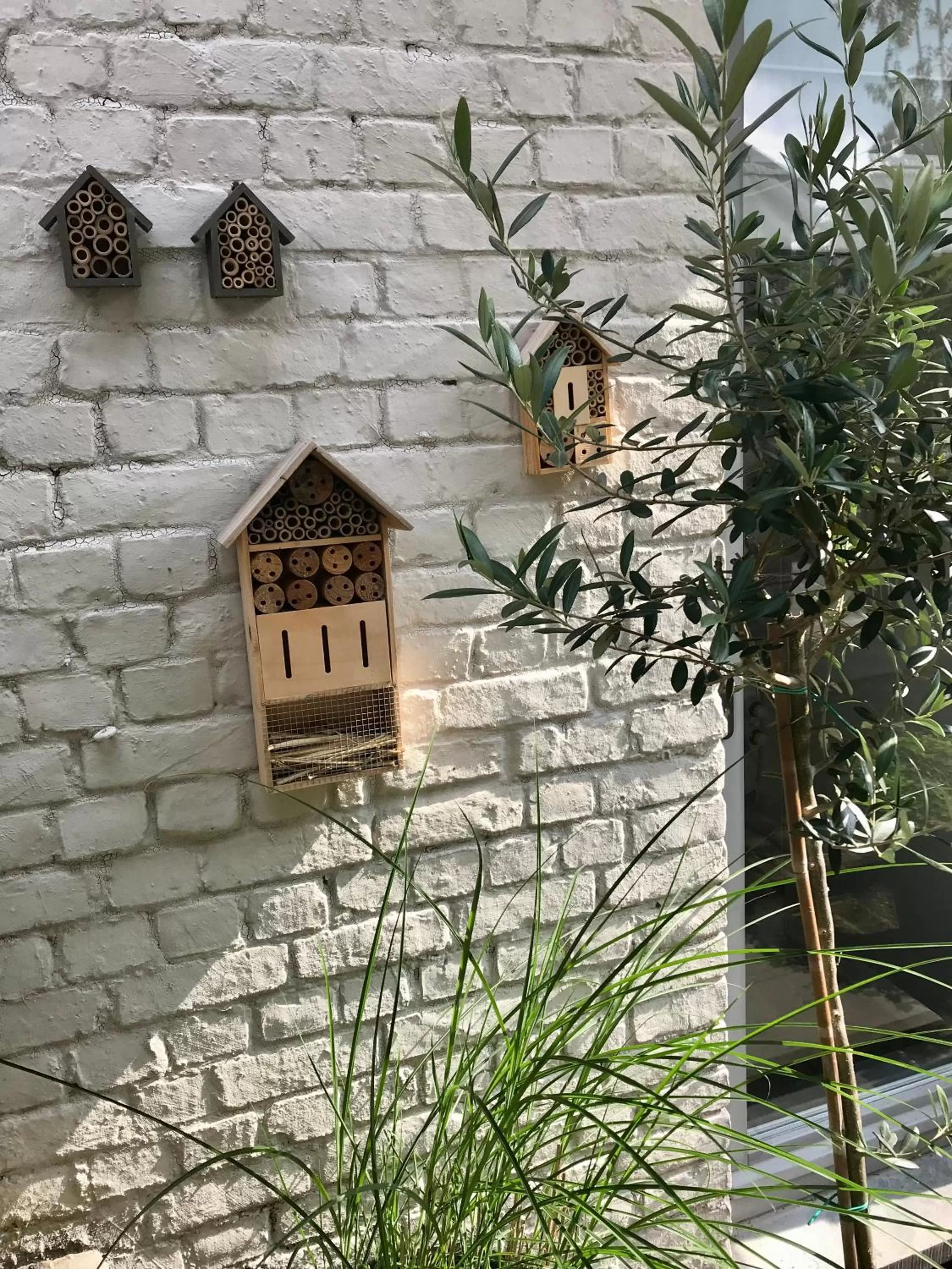 Garden in B&B La Ruelle