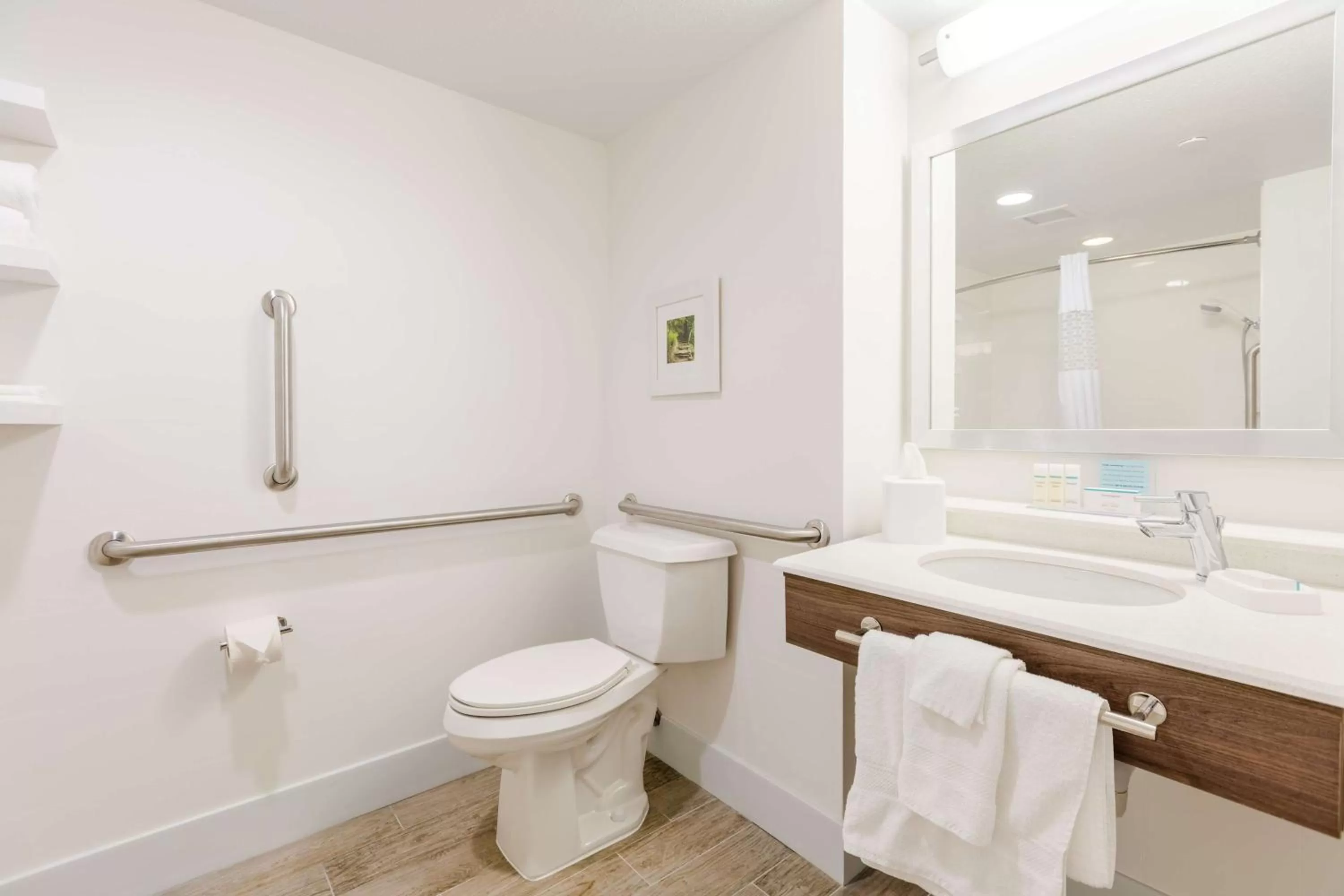 Bathroom in Hampton Inn Rochester