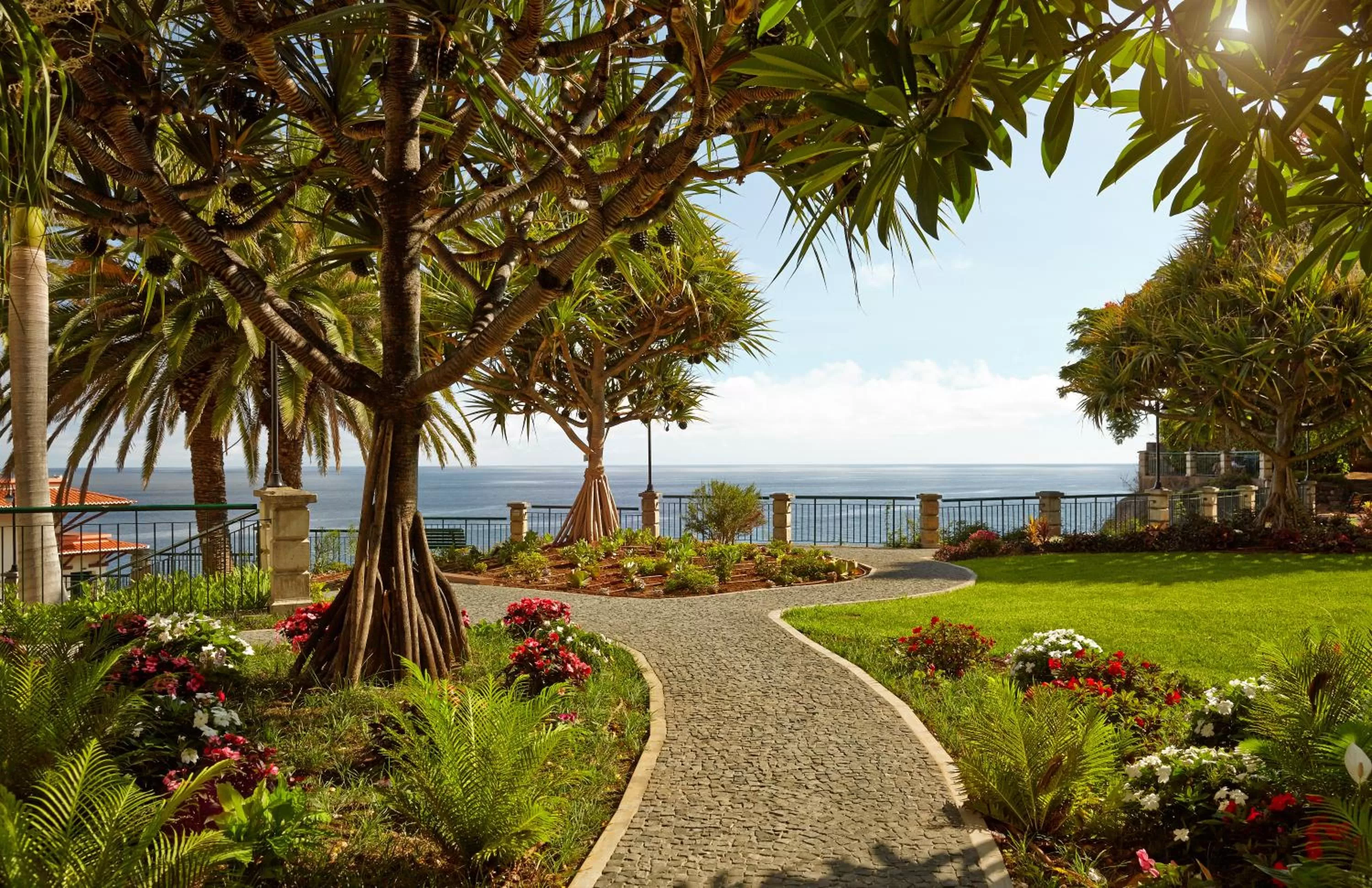 Garden in The Cliff Bay - PortoBay