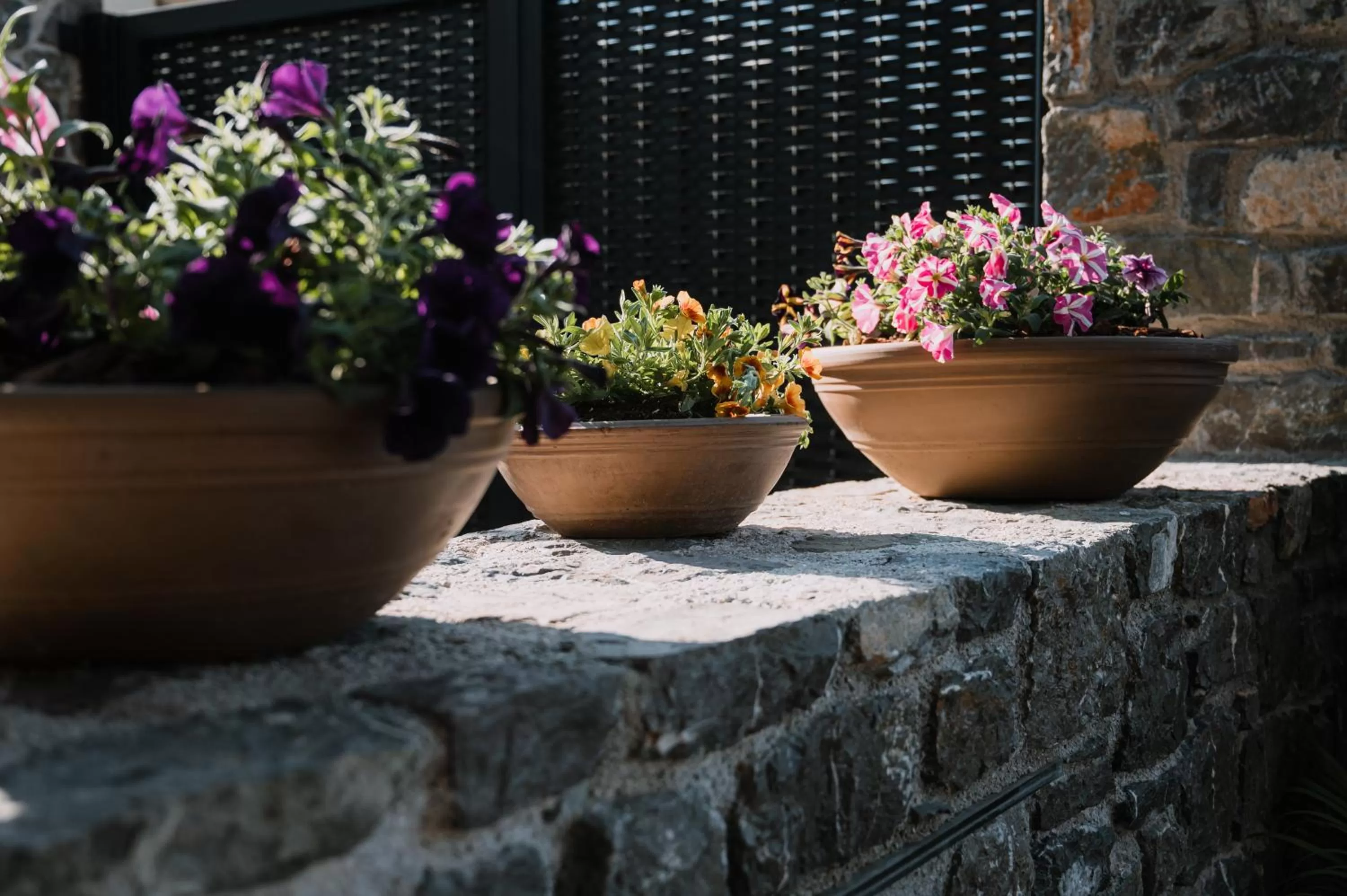 Spring in Opal Executive Suites