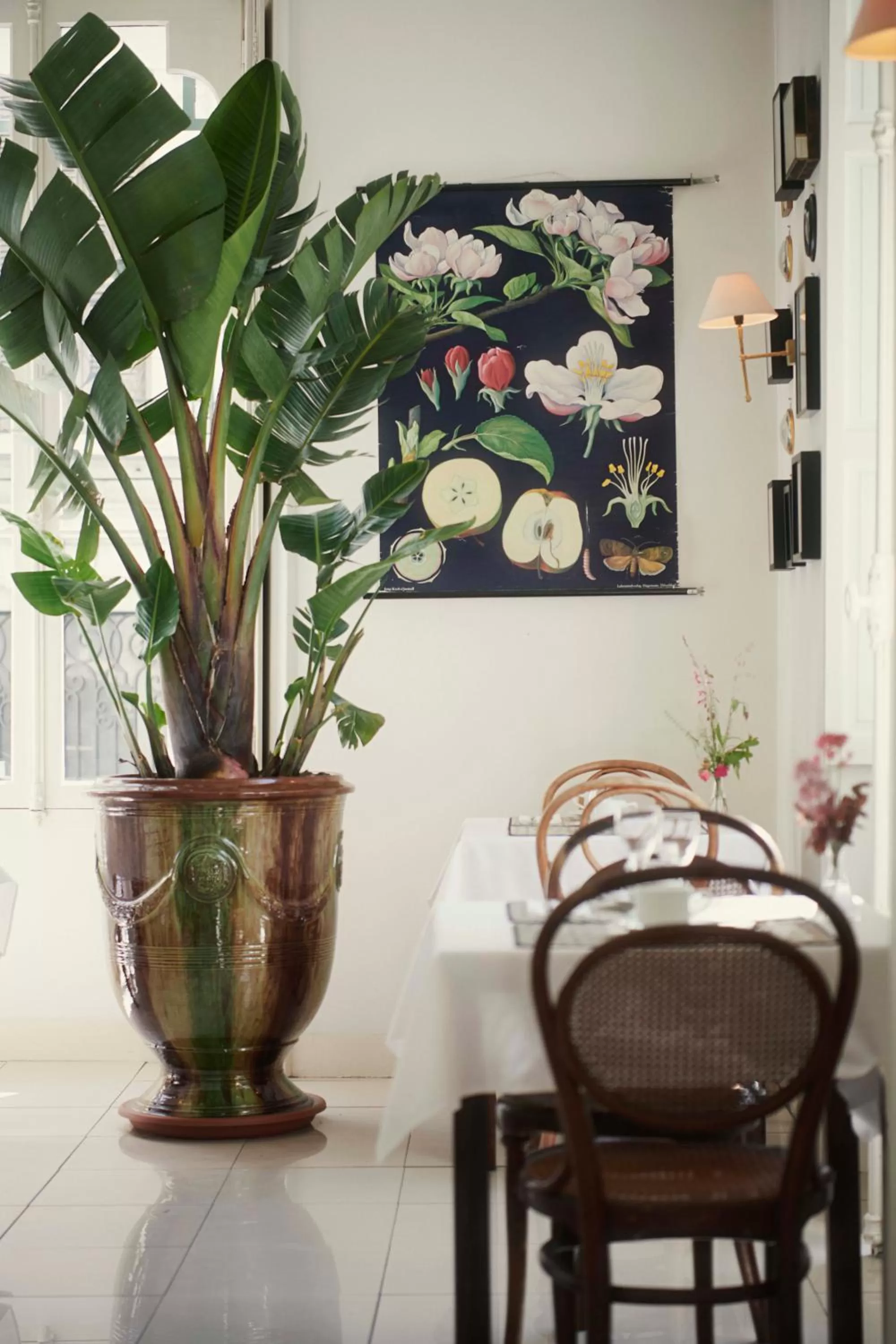 Restaurant/places to eat in Hôtel Bristol Pau