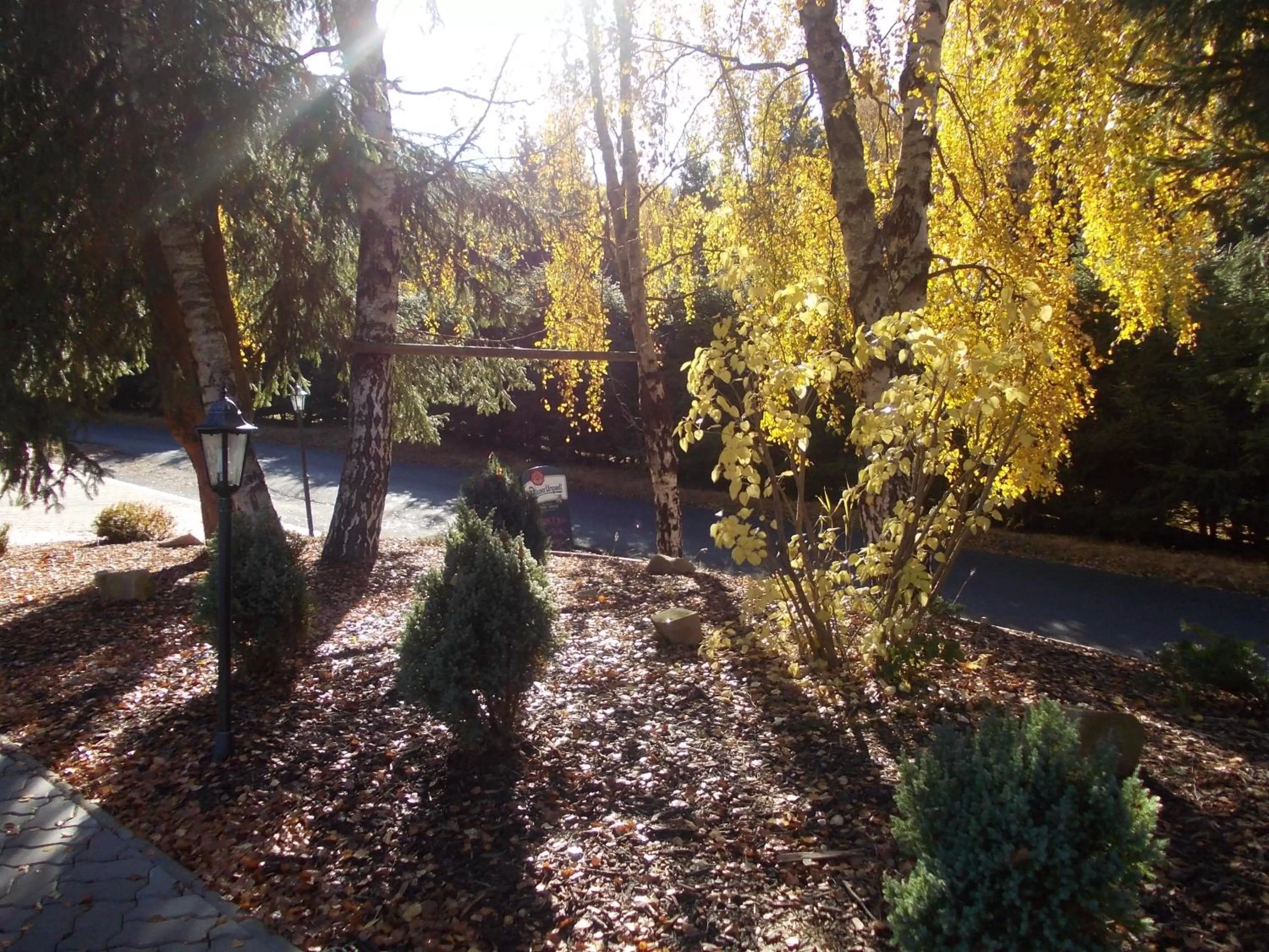 Garden in Pension U Jelinka