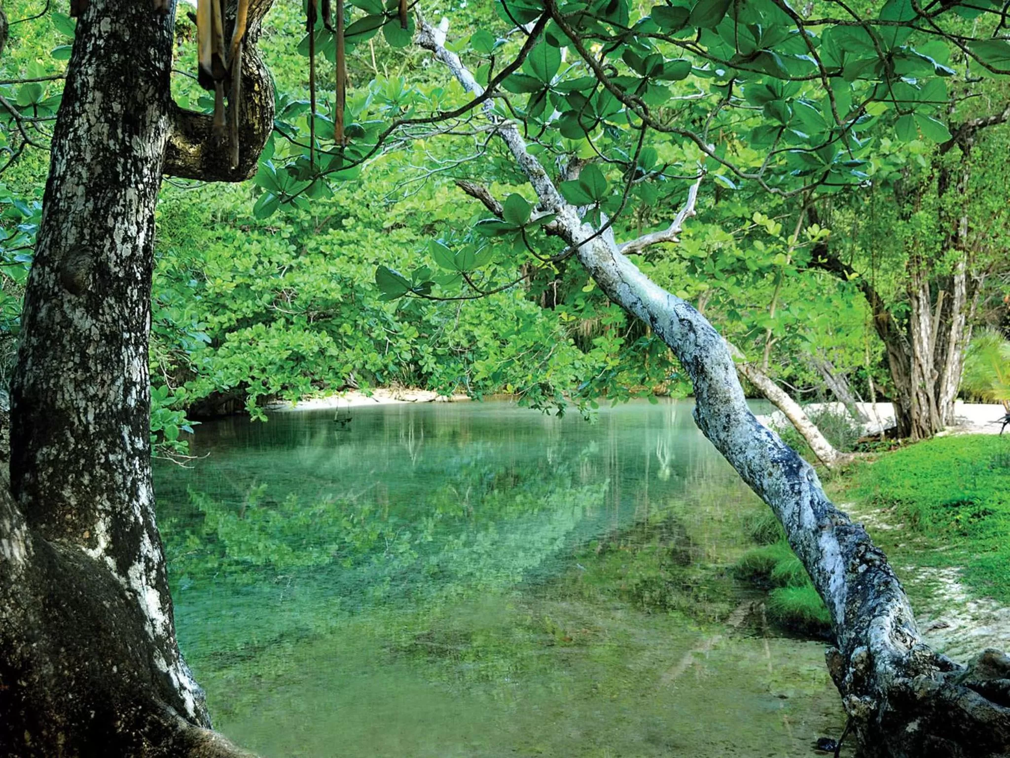 Natural landscape in Geejam