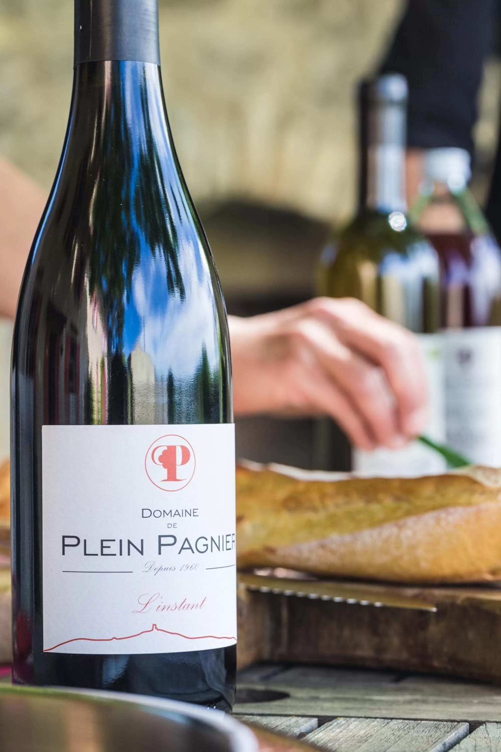 Alcoholic drinks in Le Mas de Plein Pagnier