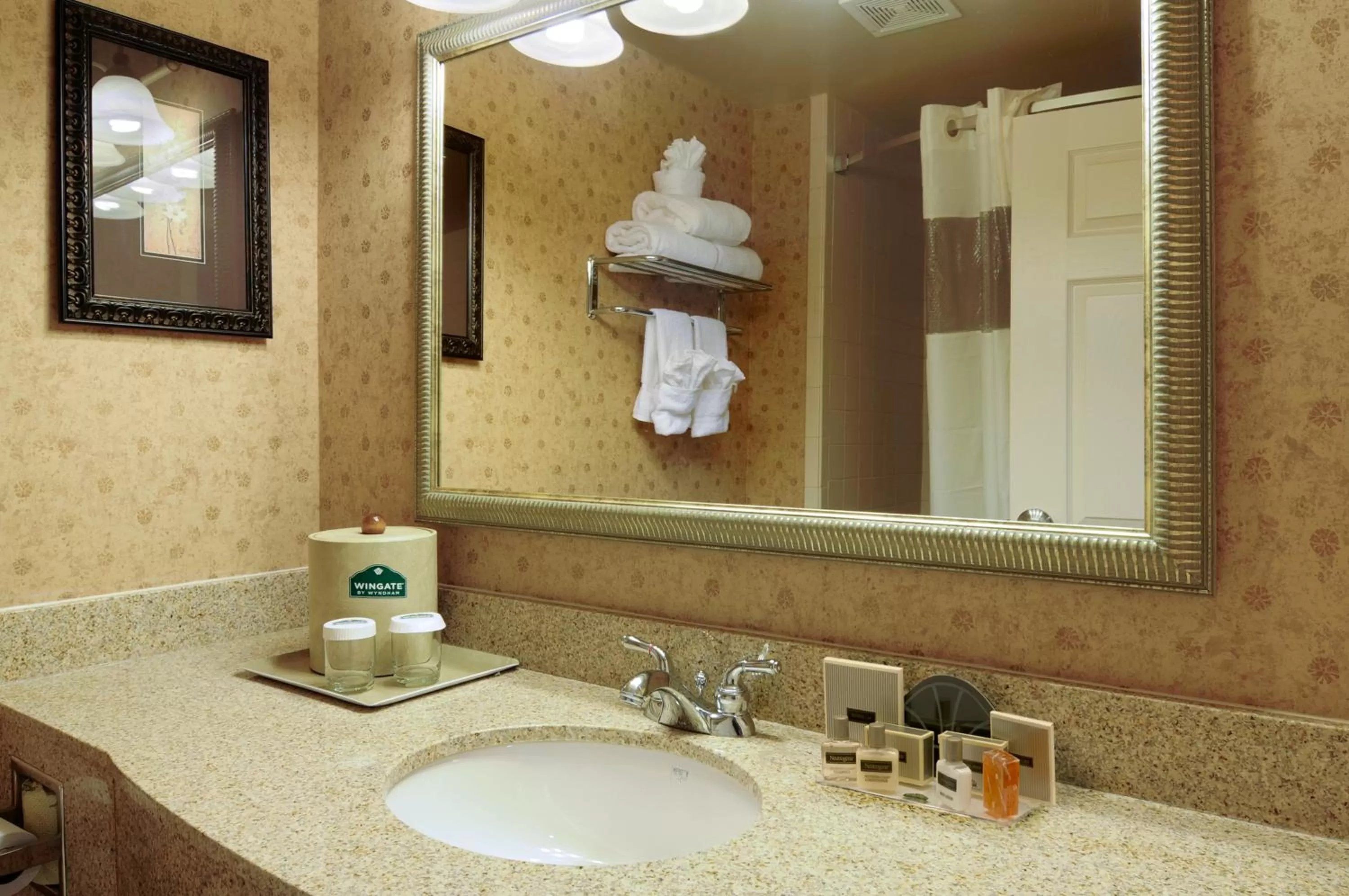 Bathroom in Wingate by Wyndham LaGrange