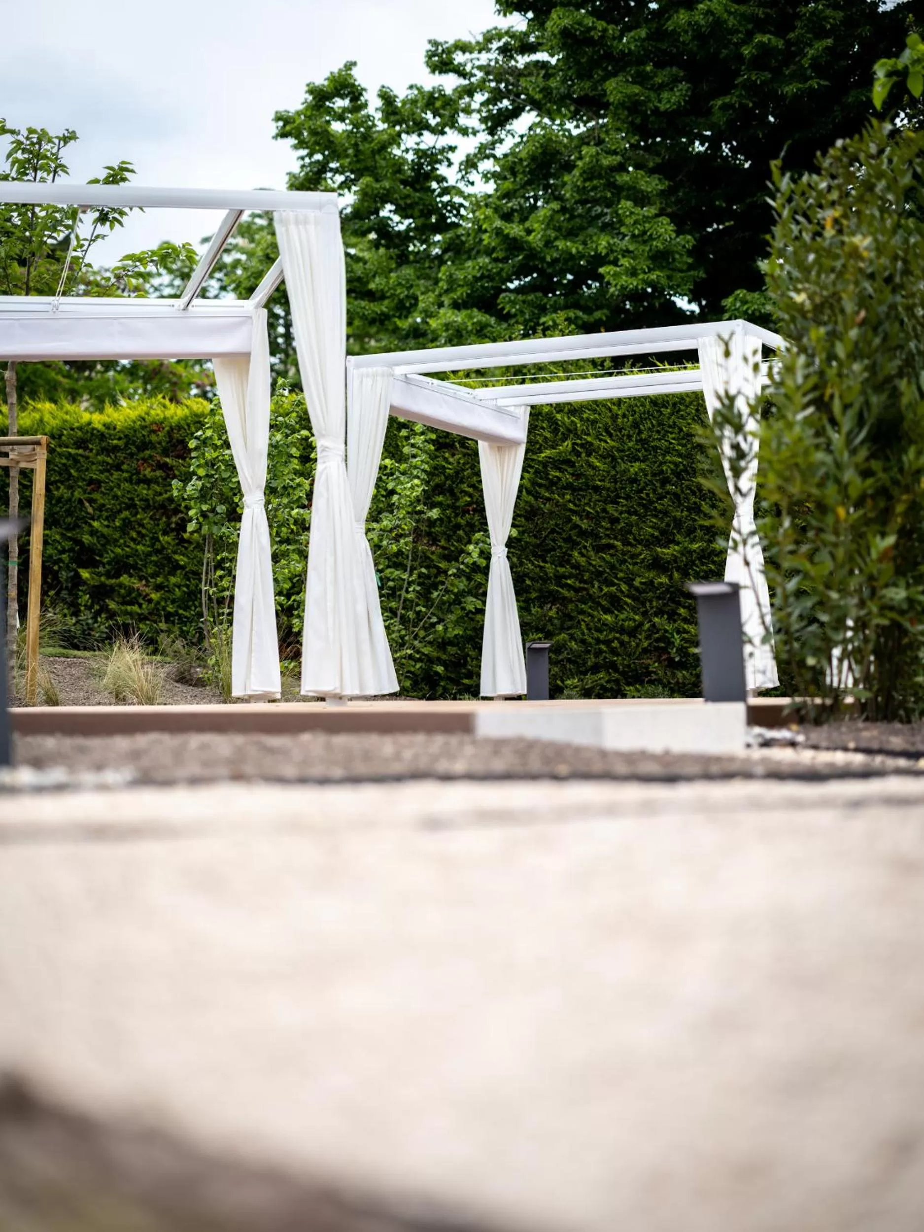 Garden in Hotel Villa Rosetta