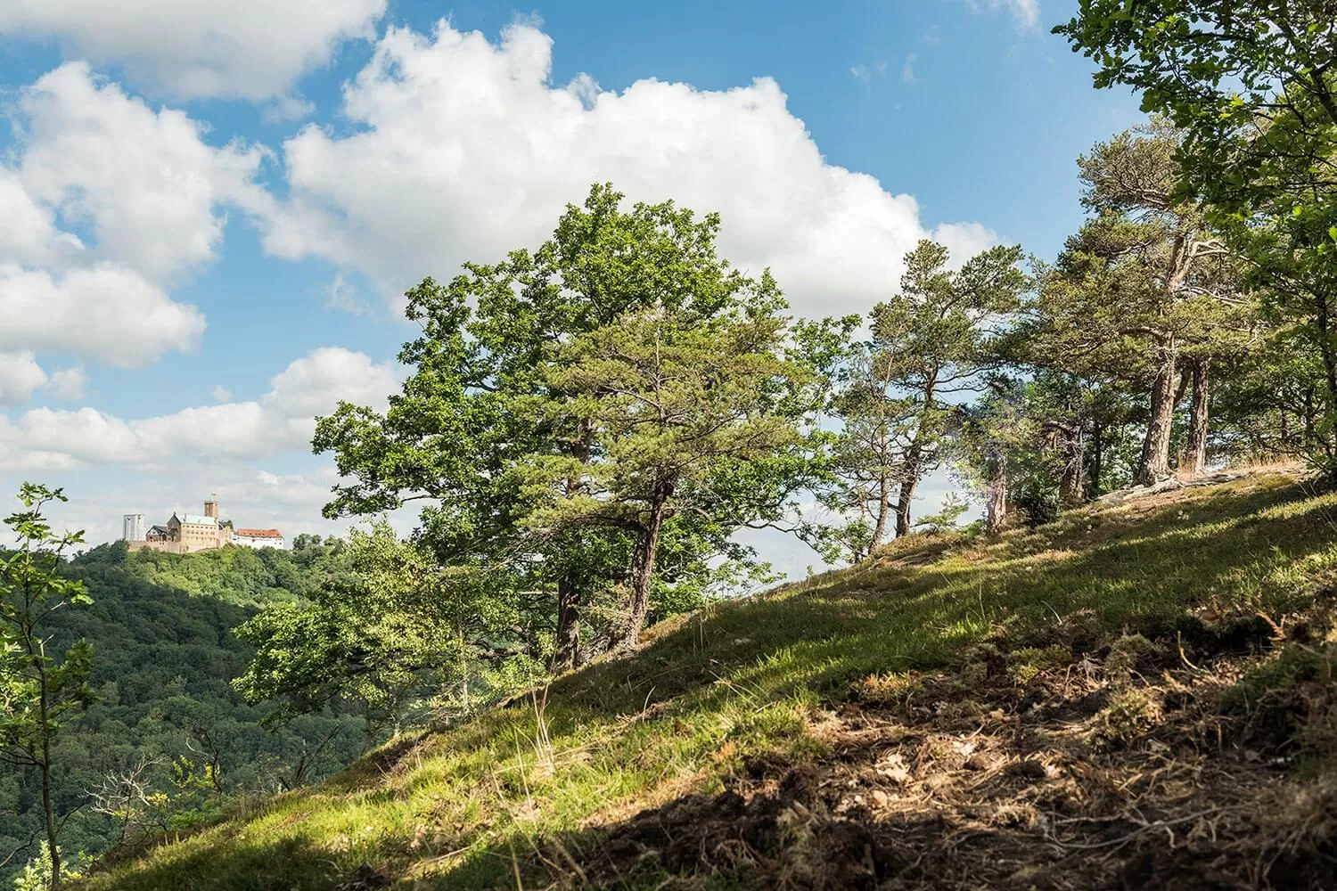 Spring in Suites MITTE - Aparthotel
