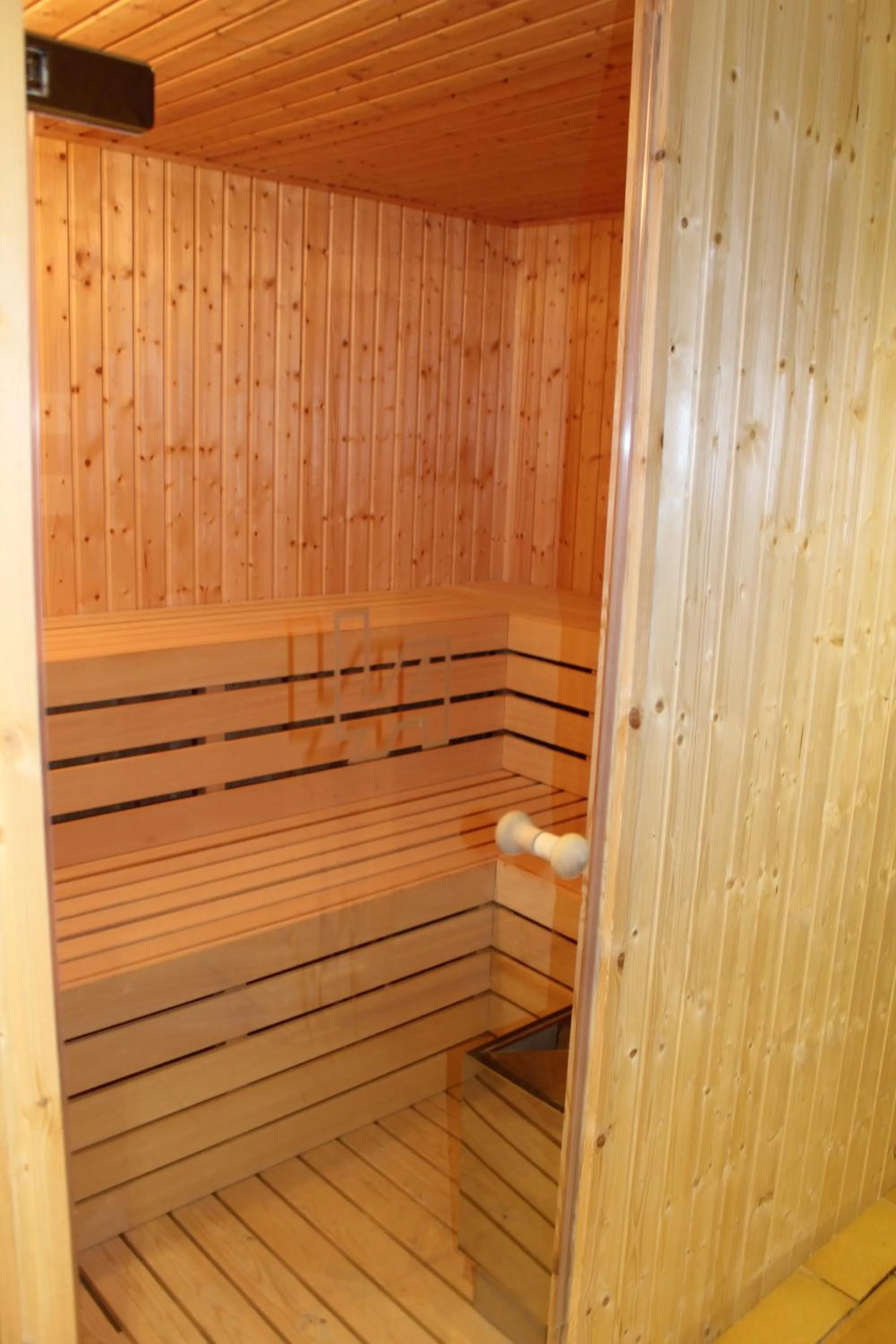 Sauna in Hotel Leonor de Aquitania