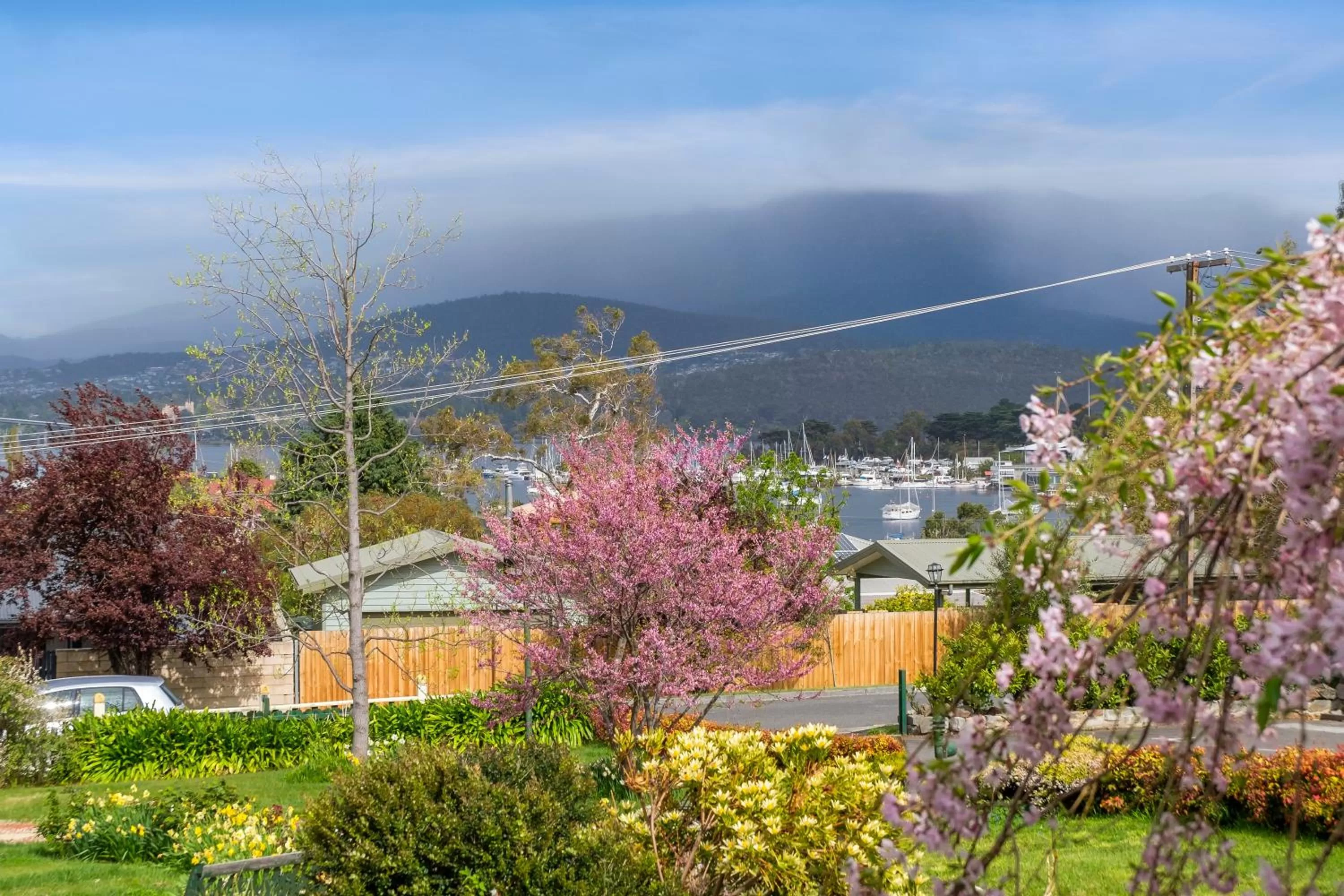 Natural landscape in Orana House