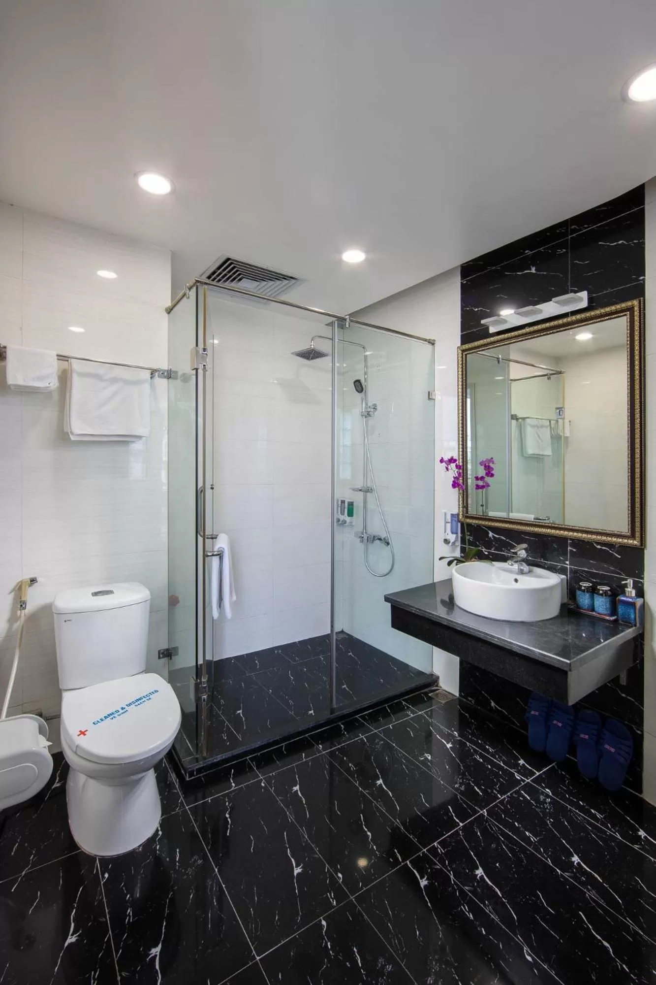 Shower in Hanoi Royal Palace Hotel 2