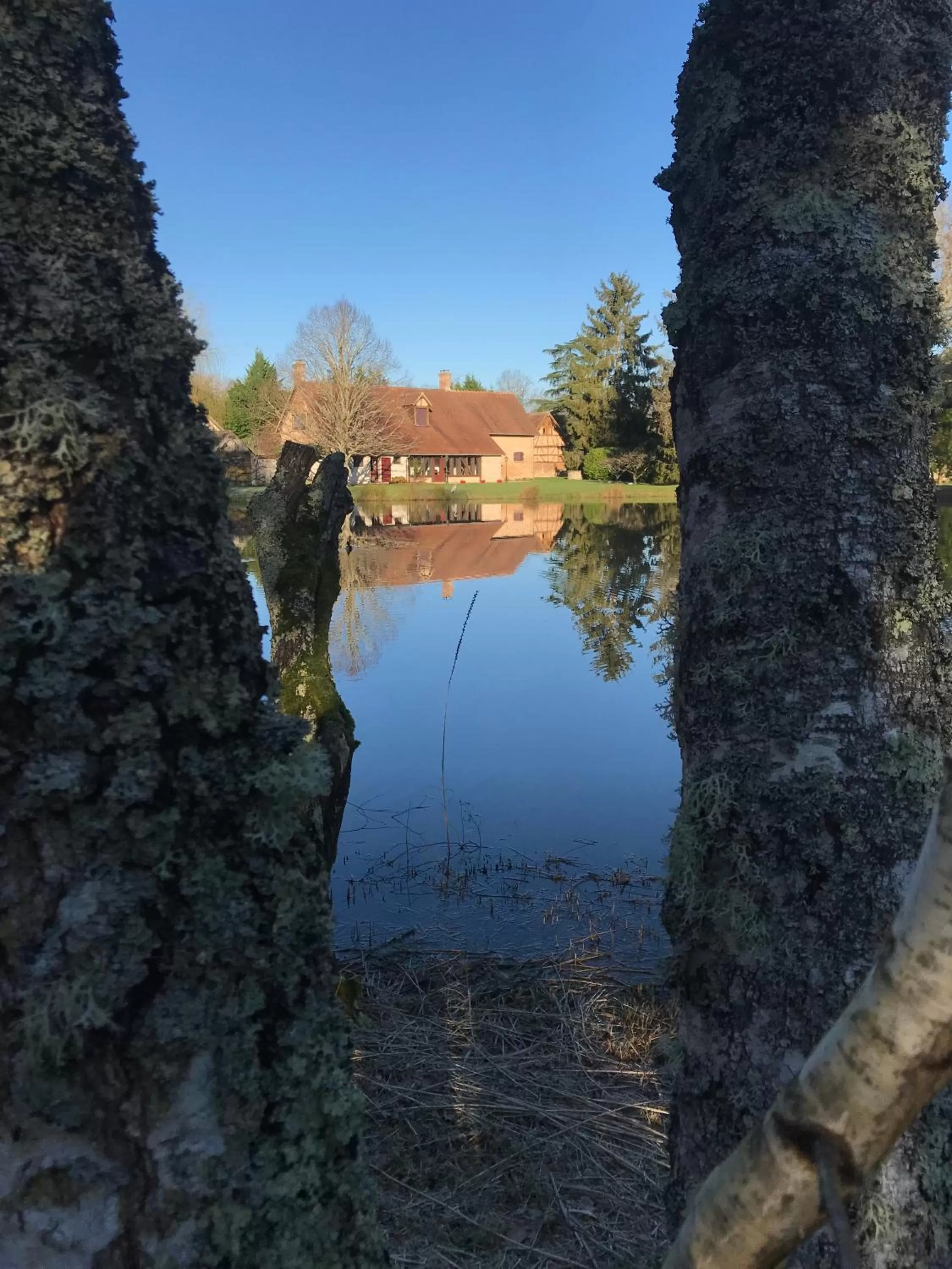 Lake view in Ferme Boisquillon