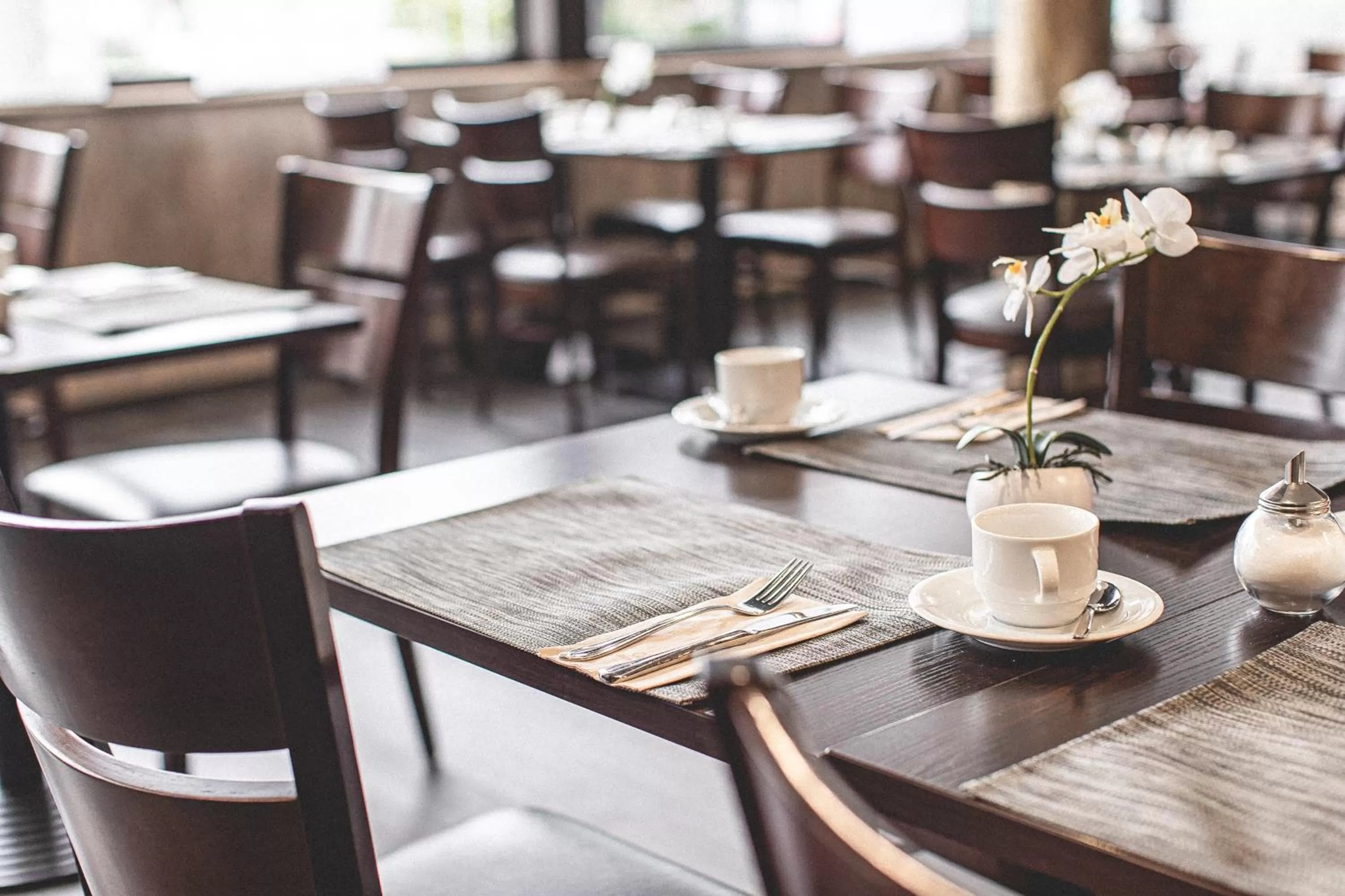 Restaurant/places to eat in PLAZA Hotel Hanau