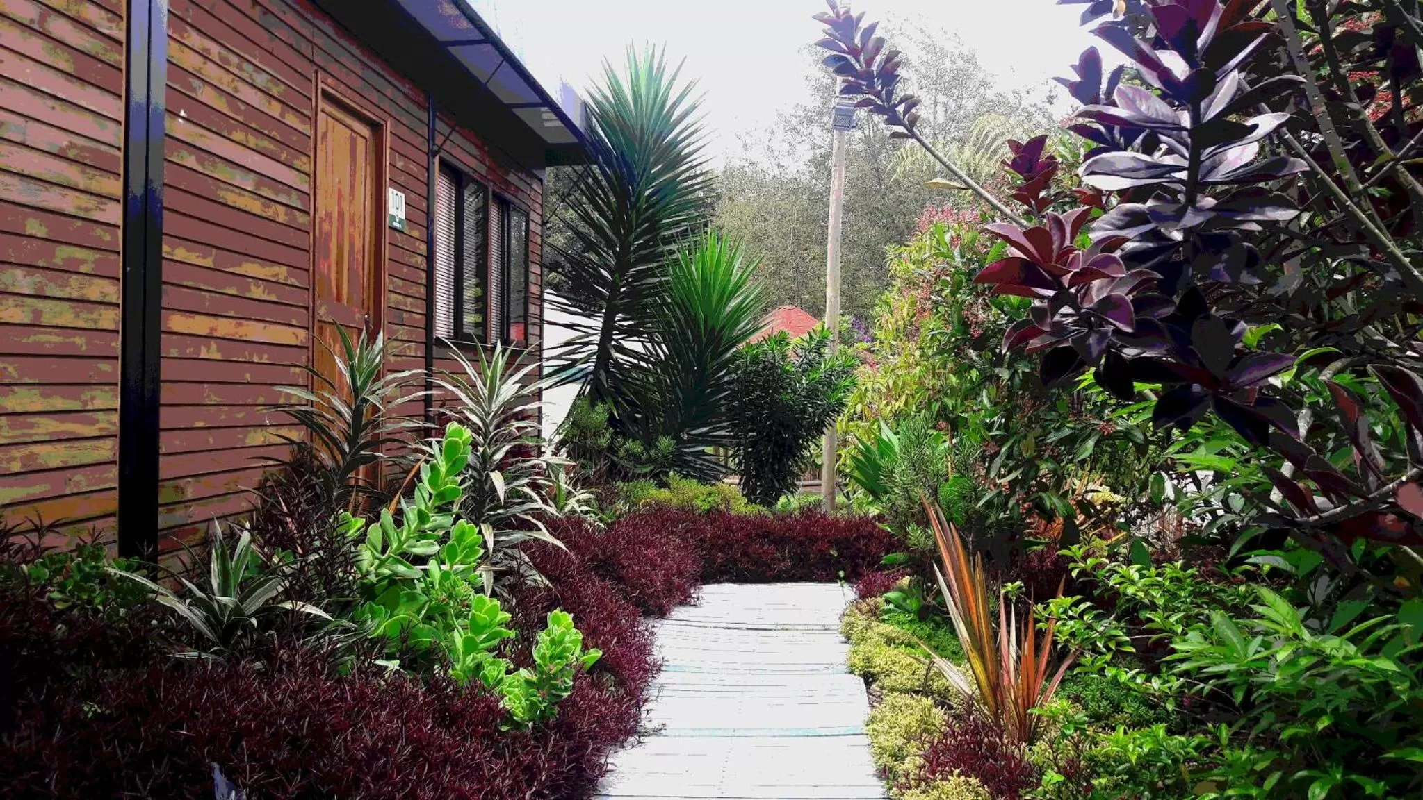 Garden in ALTO LODGING Centro de Entrenamiento Deportivo y Negocios, a 2 pasos del Aeropuerto JMC, Transporte Incluido