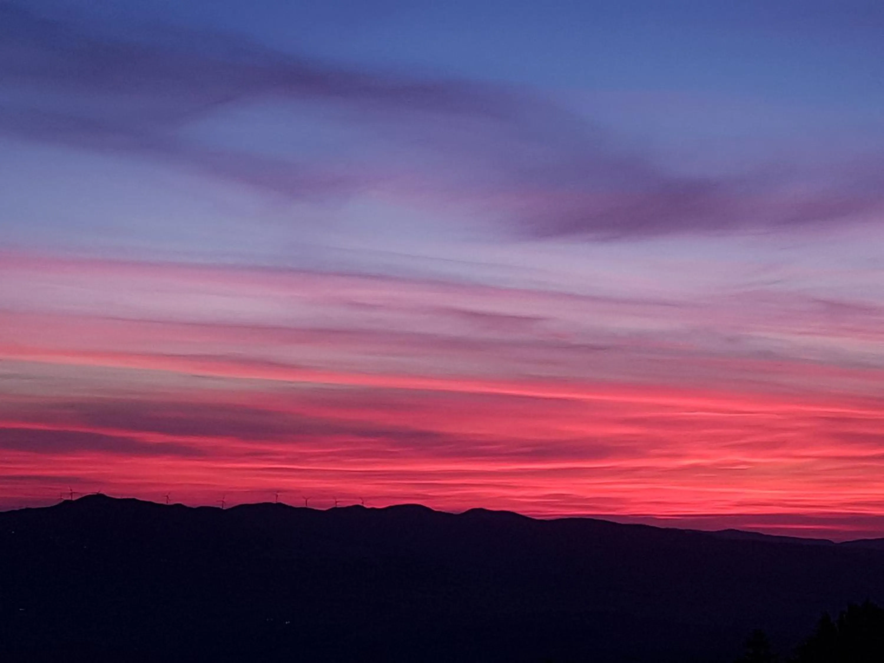 View (from property/room) in Villa Nencini