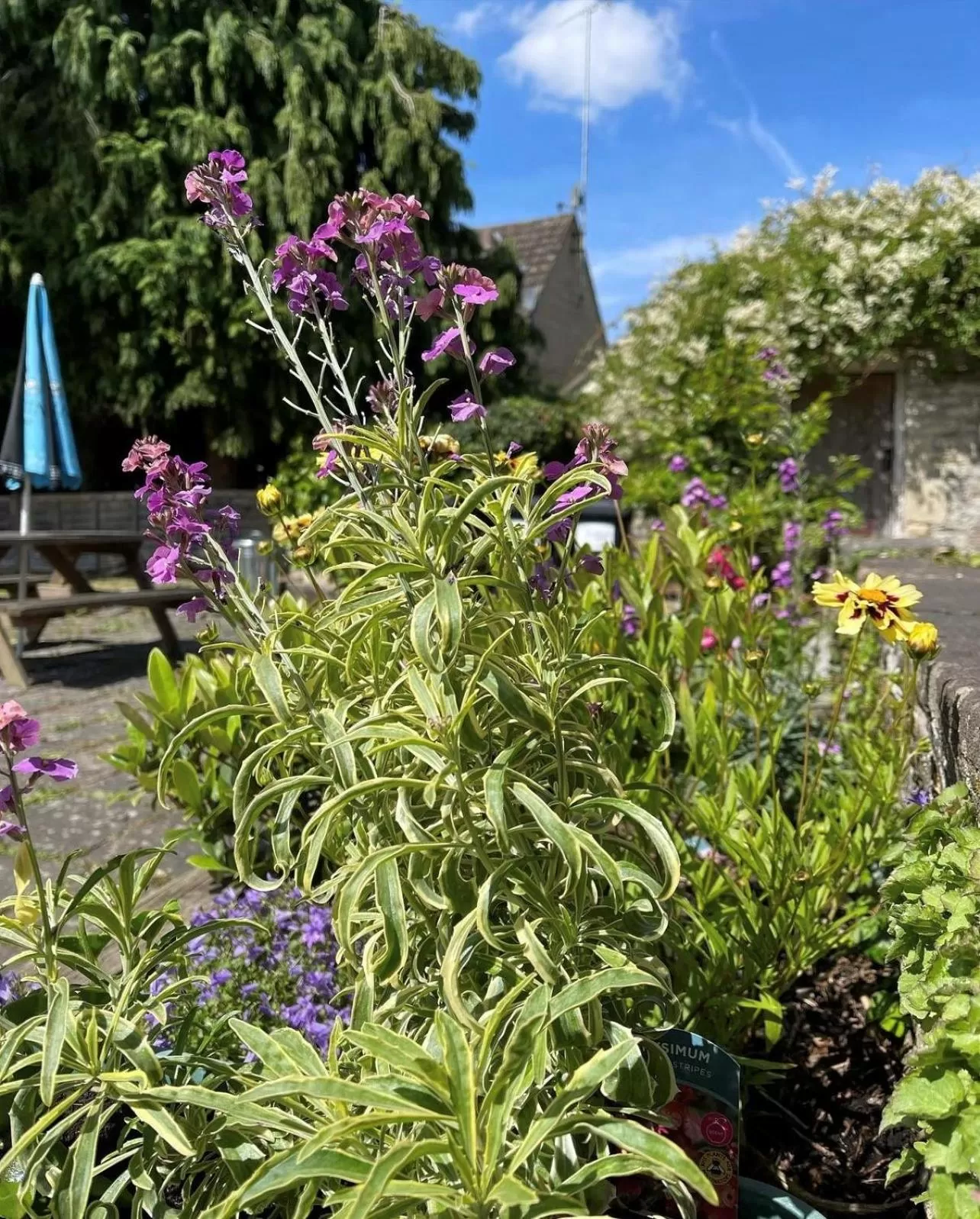 Garden in The Bell at Old Sodbury