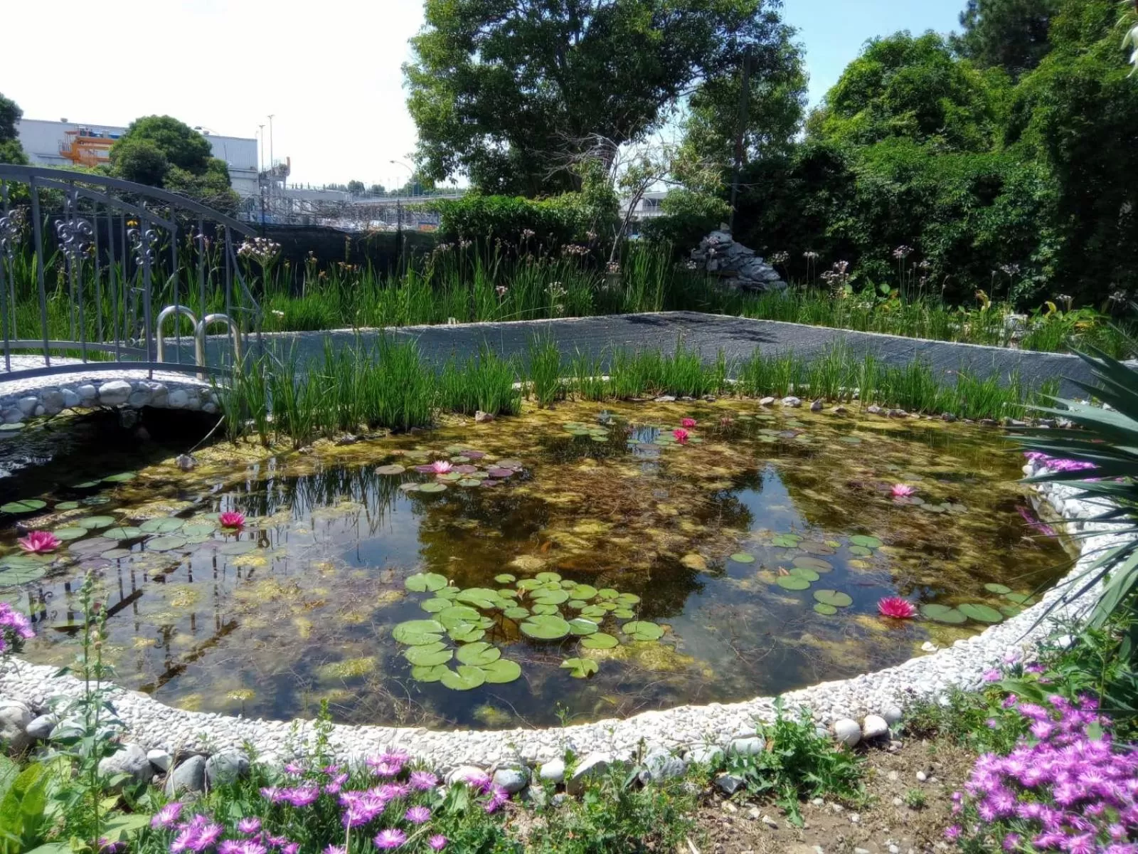 Garden in Villa Fiorita