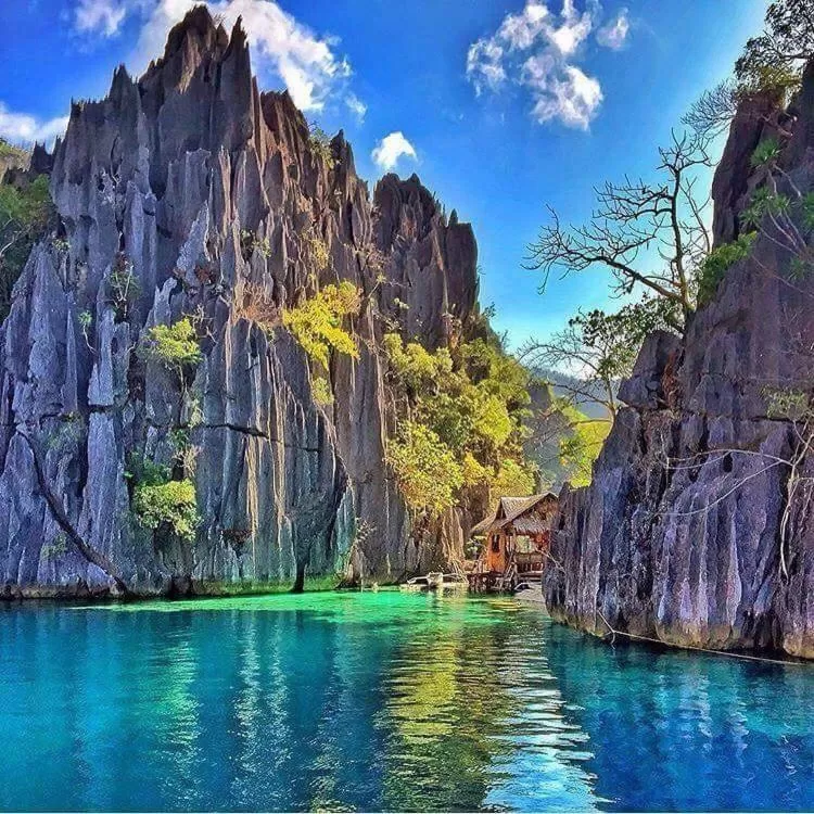 Beach in Hwan Dynasty Suite