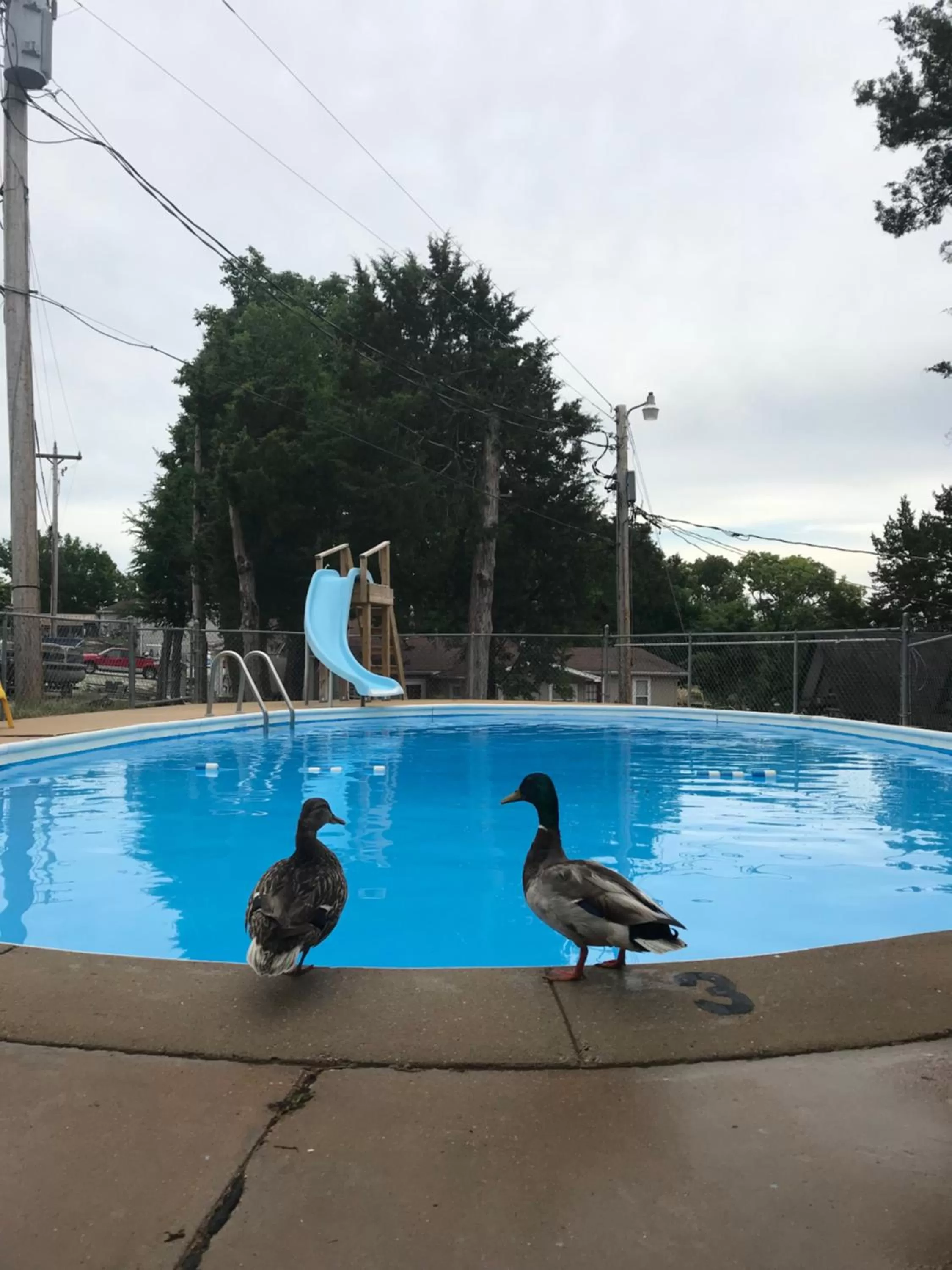 Summer in Calm Waters Resort