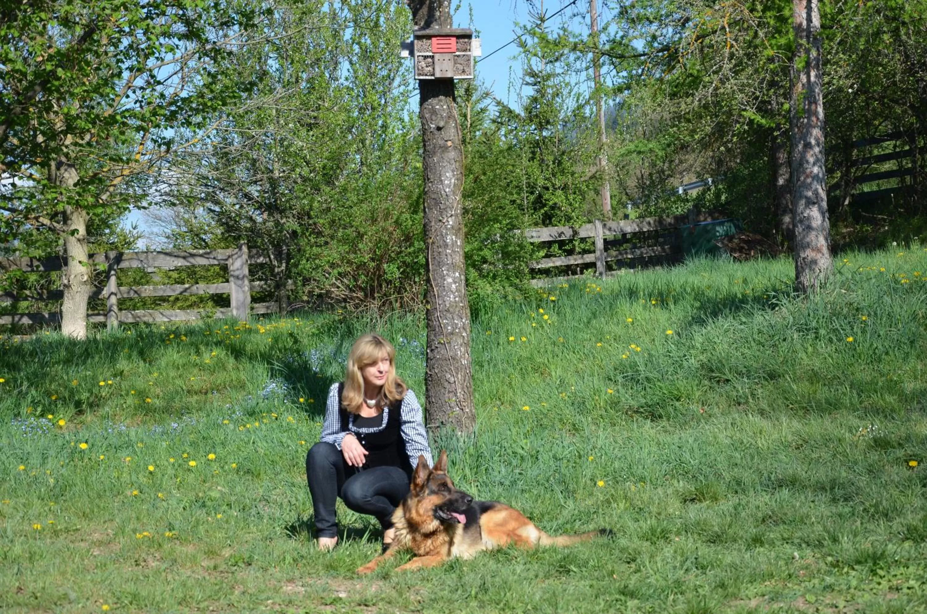 Day in Pension zum Schreiner