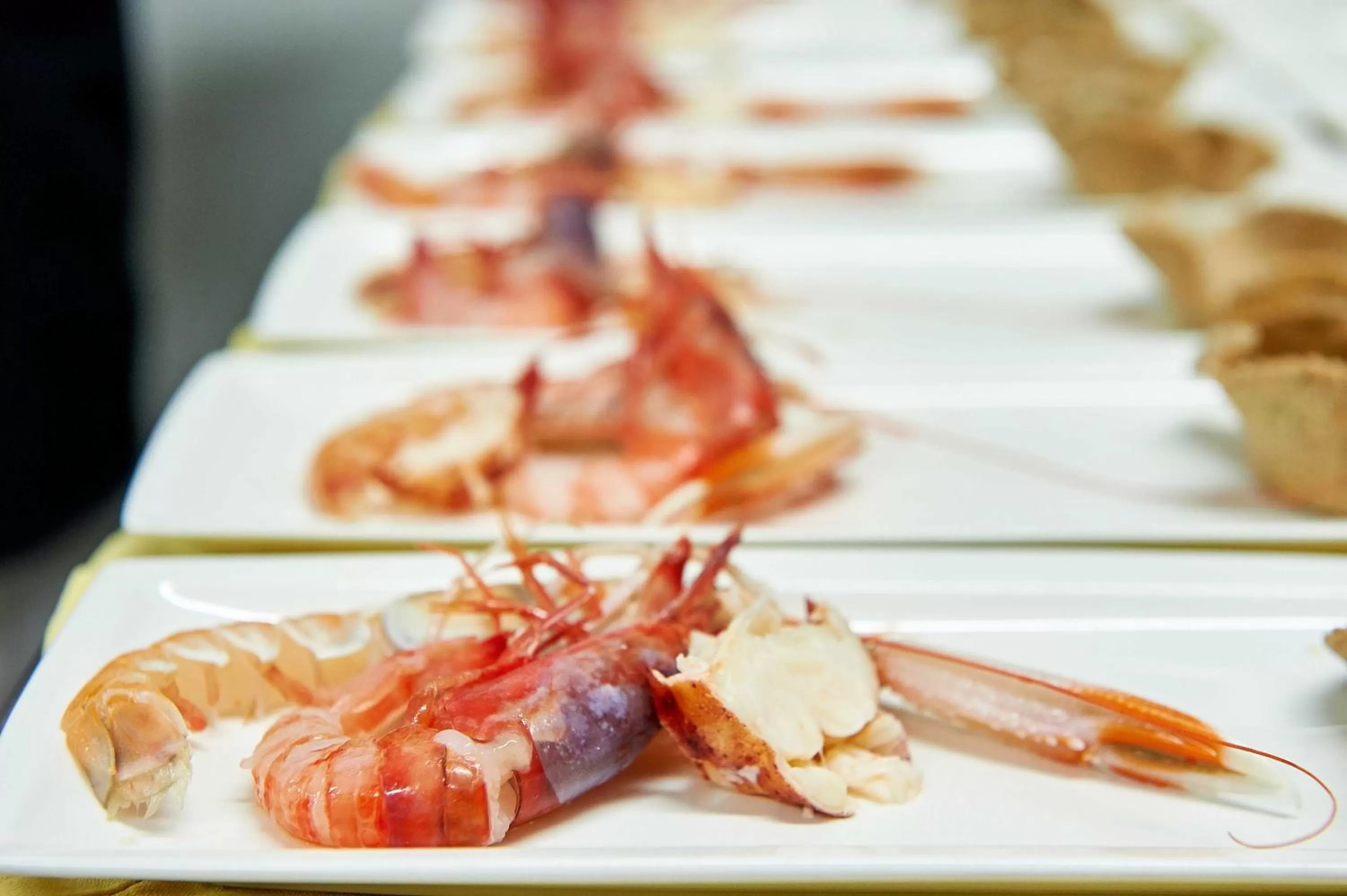 Restaurant/places to eat in Hotel Corallo