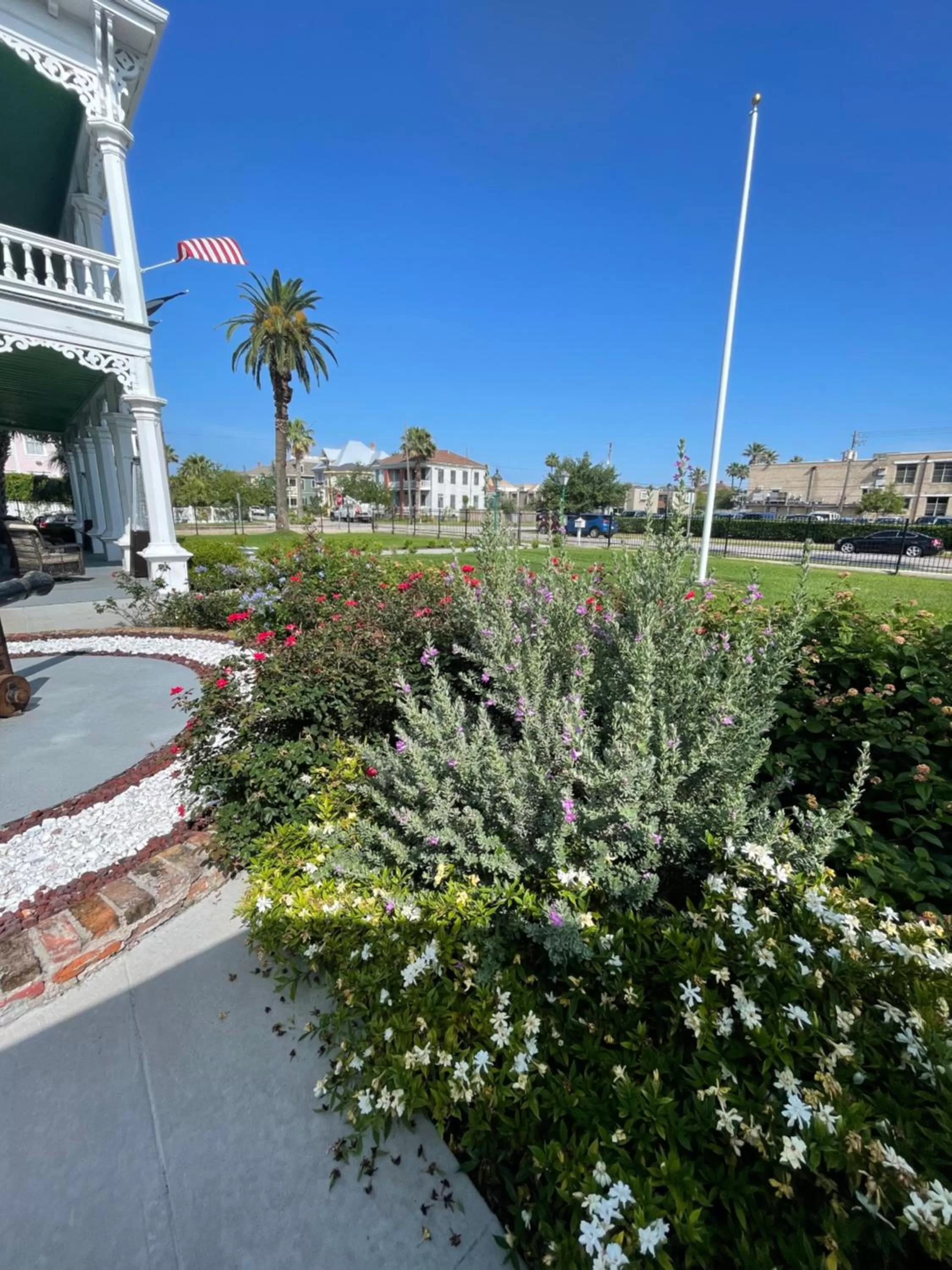 Garden view in The George Manor