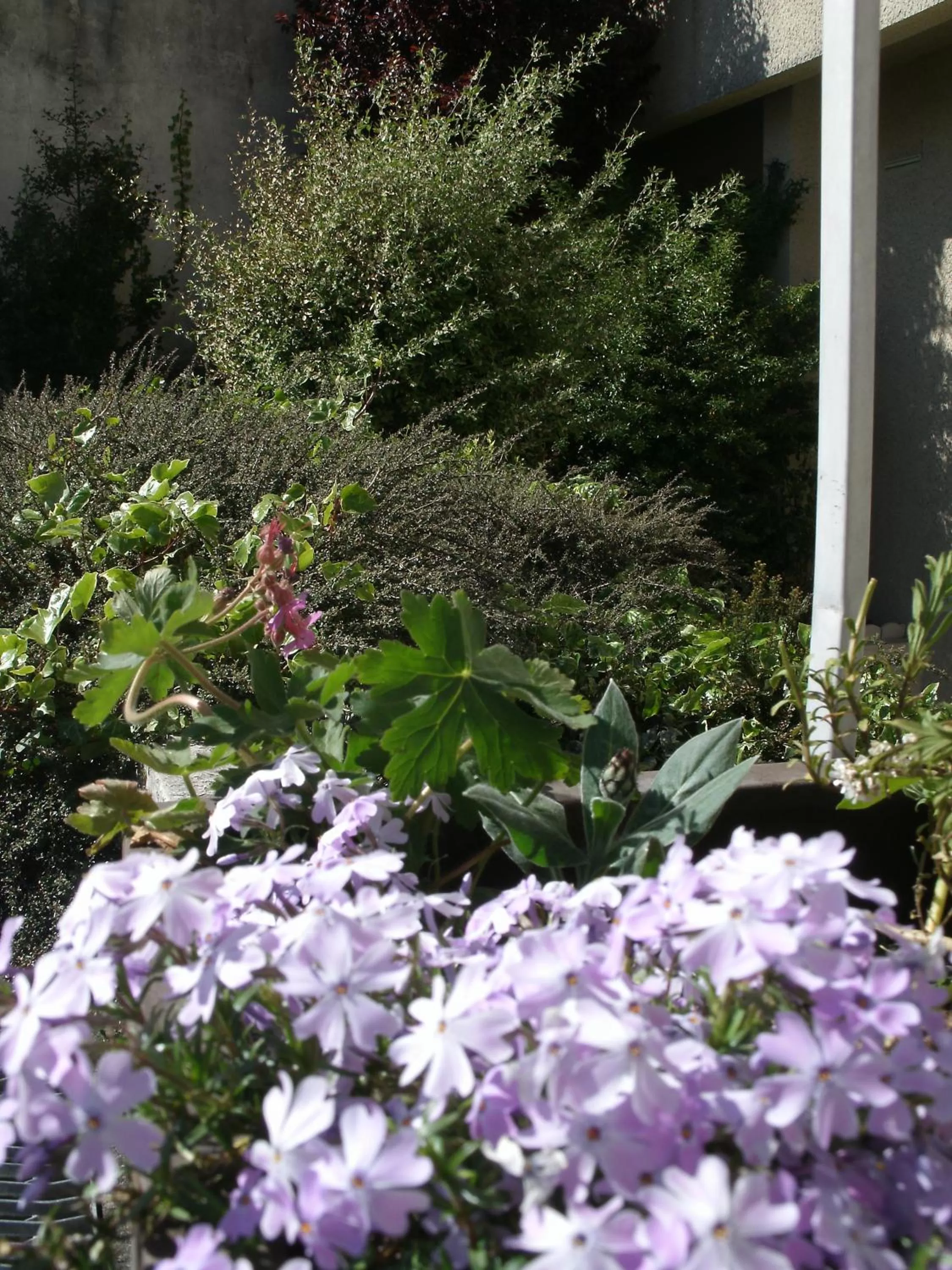 Property building in Hôtel Saint Jacques