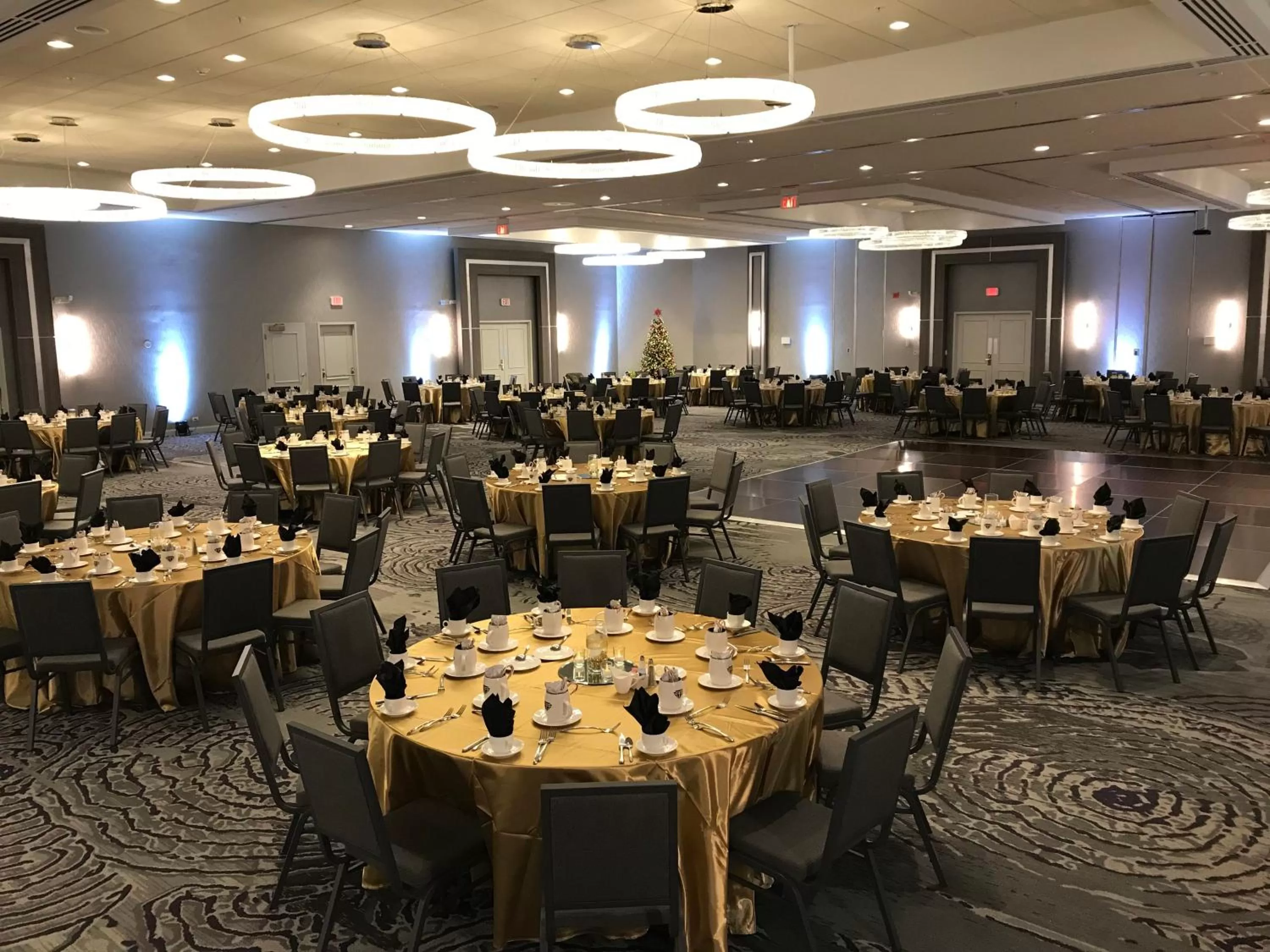 Banquet/Function facilities in Holiday Inn Chicago Nw Crystal Lk Conv Ctr by IHG