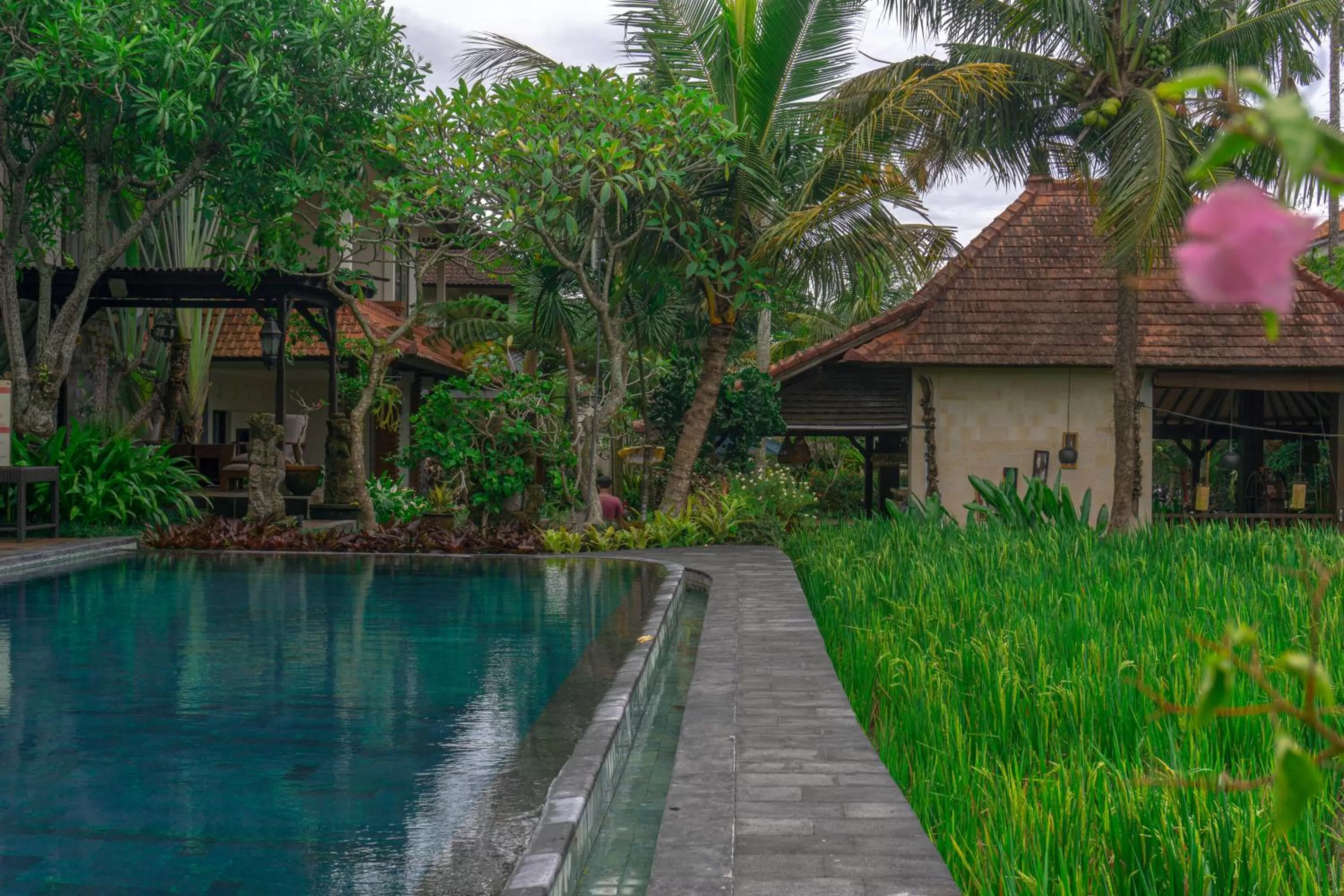 Pool view in Artini Bisma Ubud Hotel