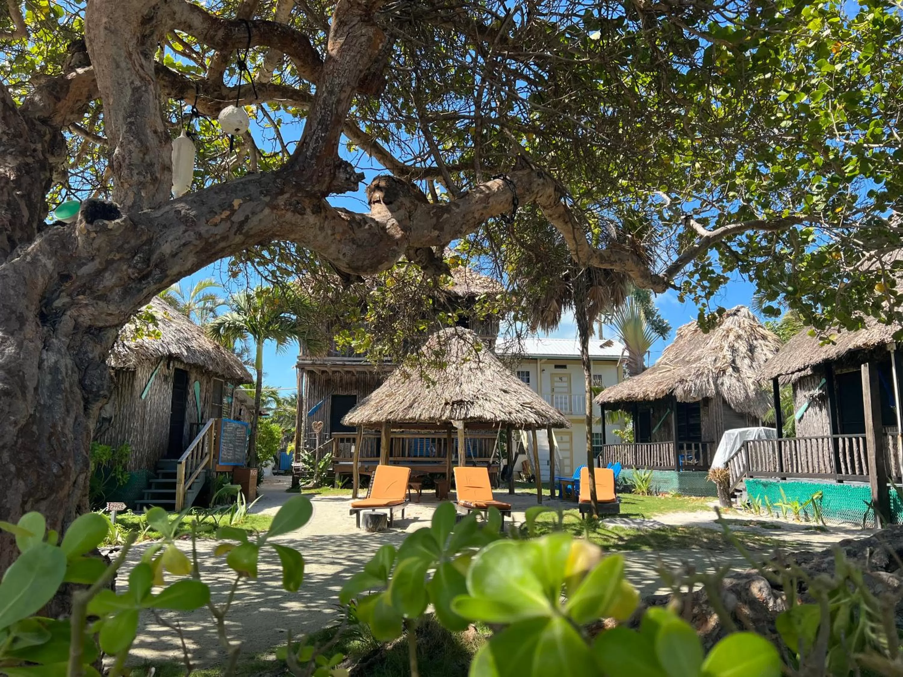 Property building in Hotel Del Rio