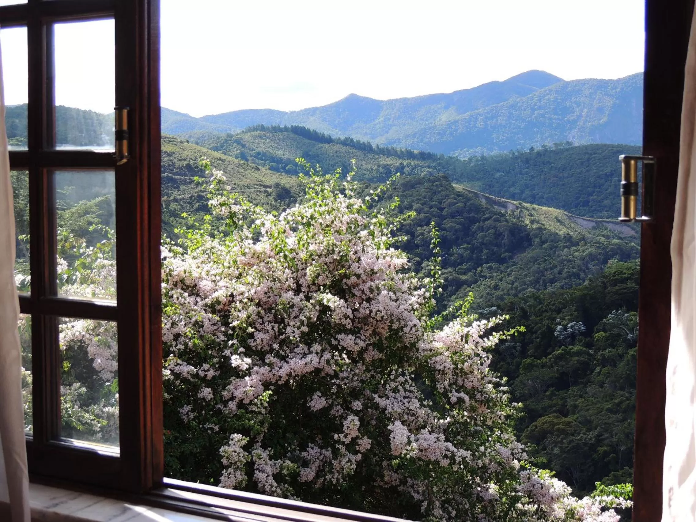 Garden view in Pousada R.N.C. Nosso Paraíso