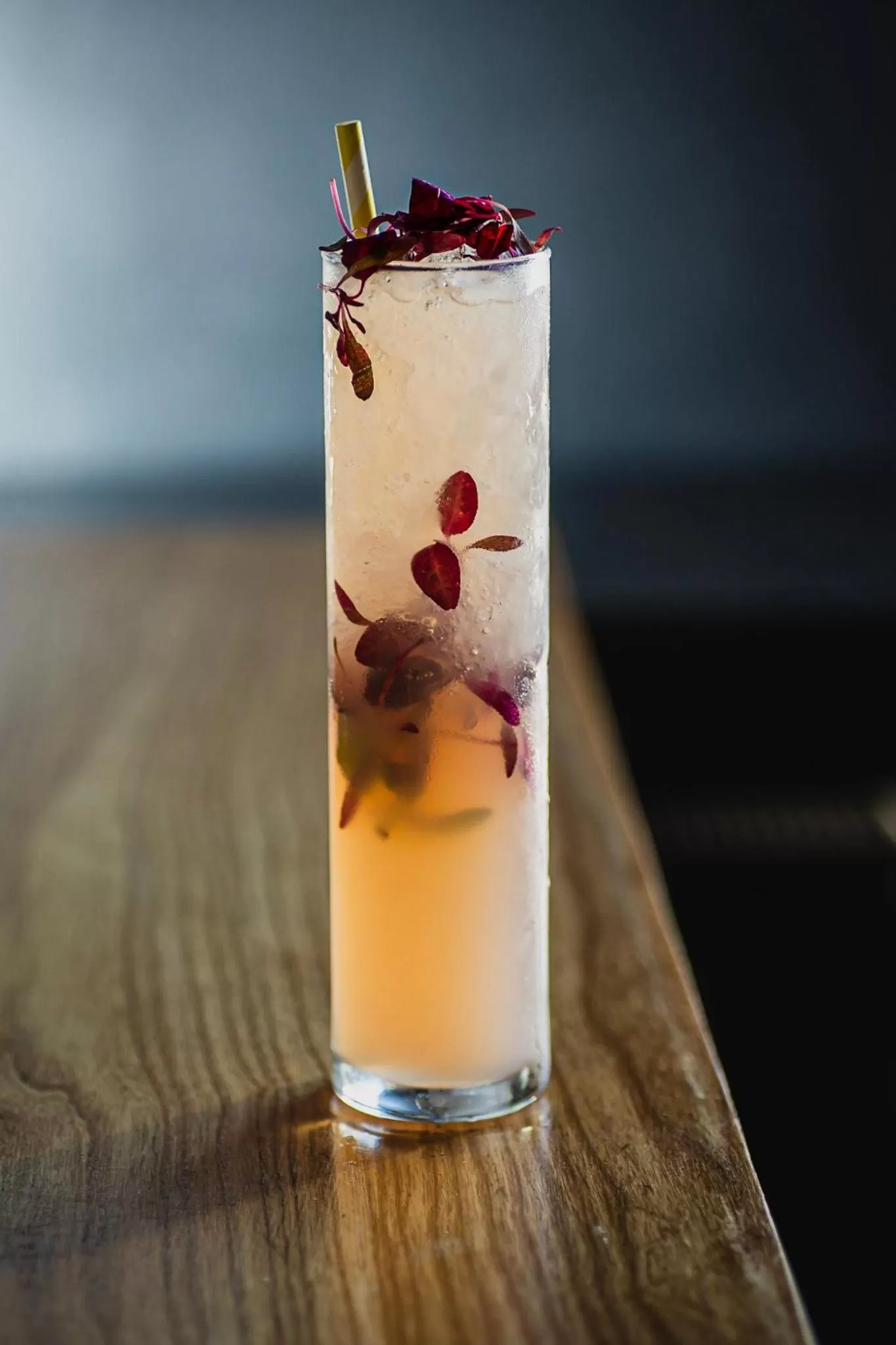 Food and drinks in The Albert Hotel