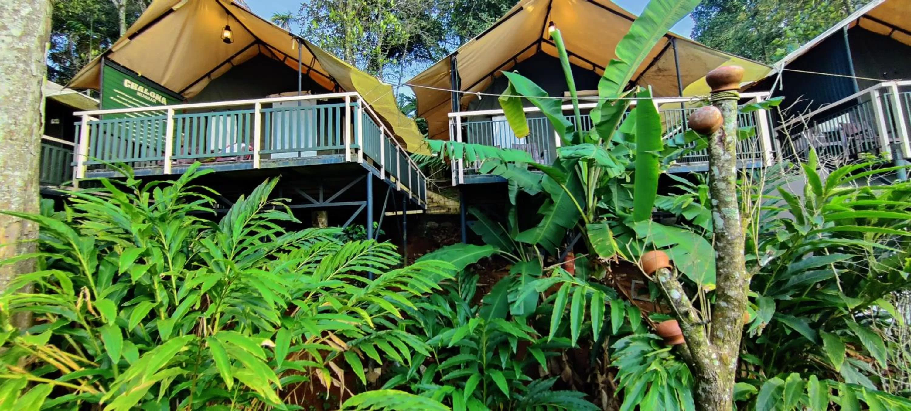 Property Building in Chalona Jungle Vibe