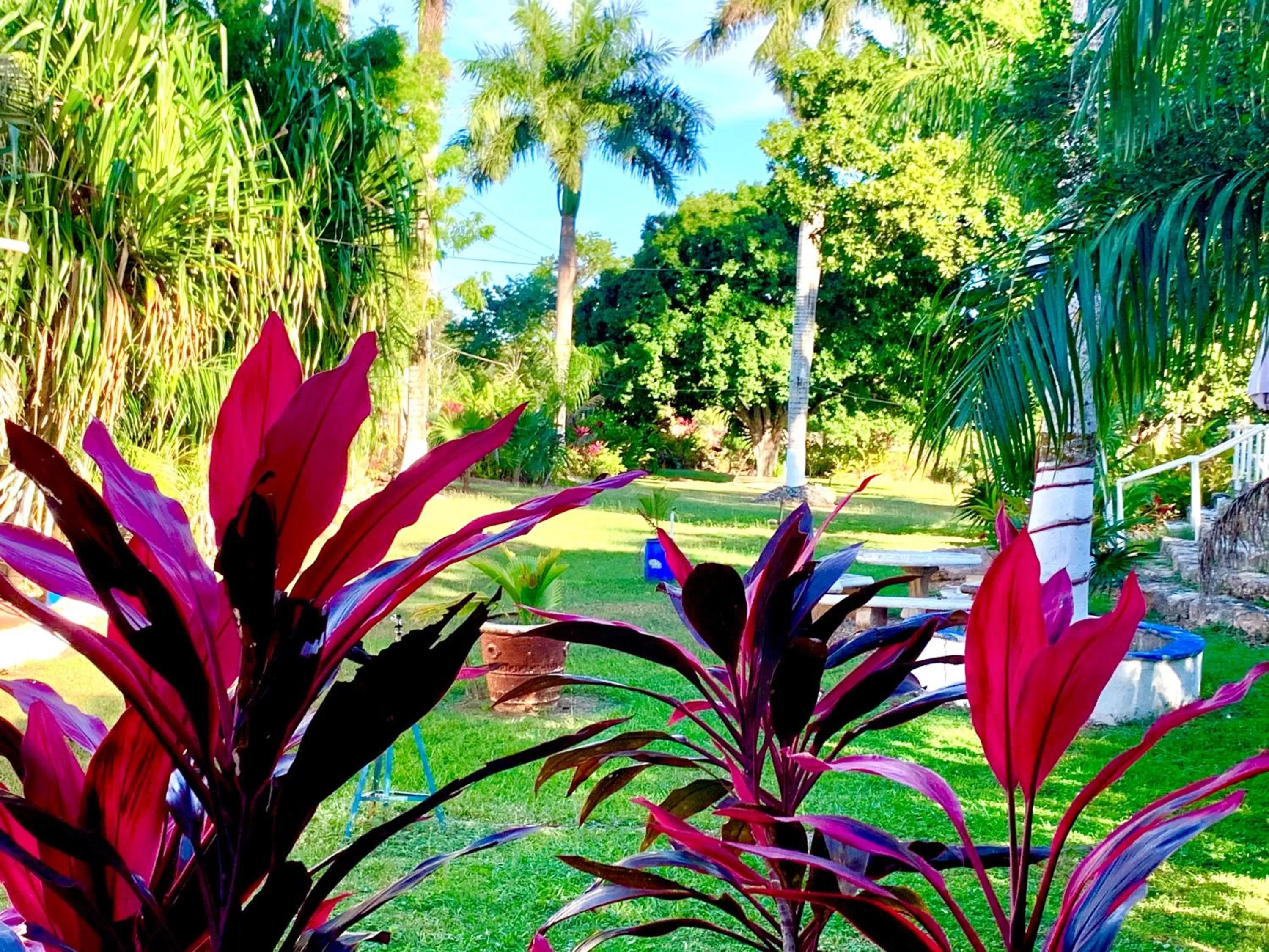 Garden in Hotel Green River