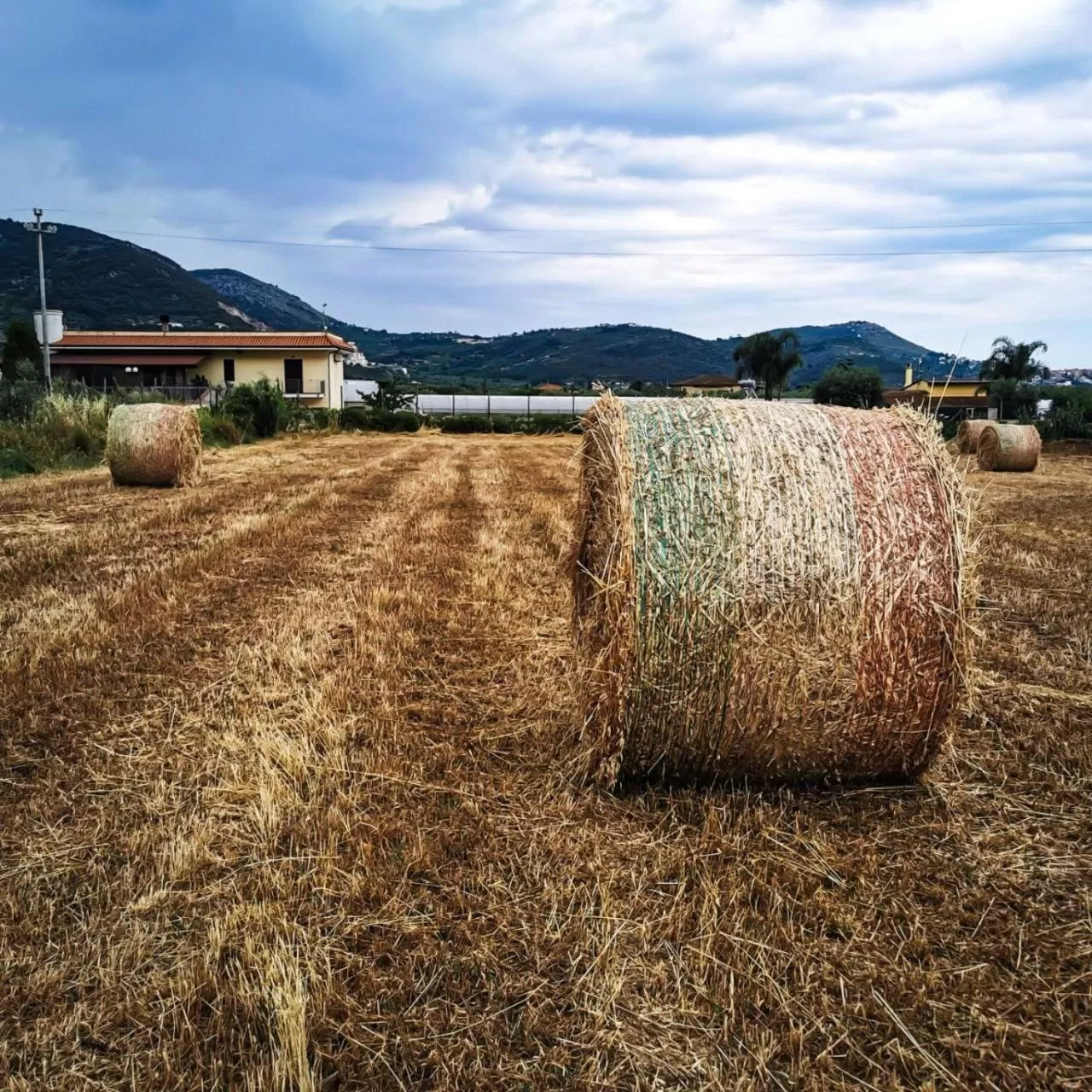 Garden in Il Sentiero di Leano
