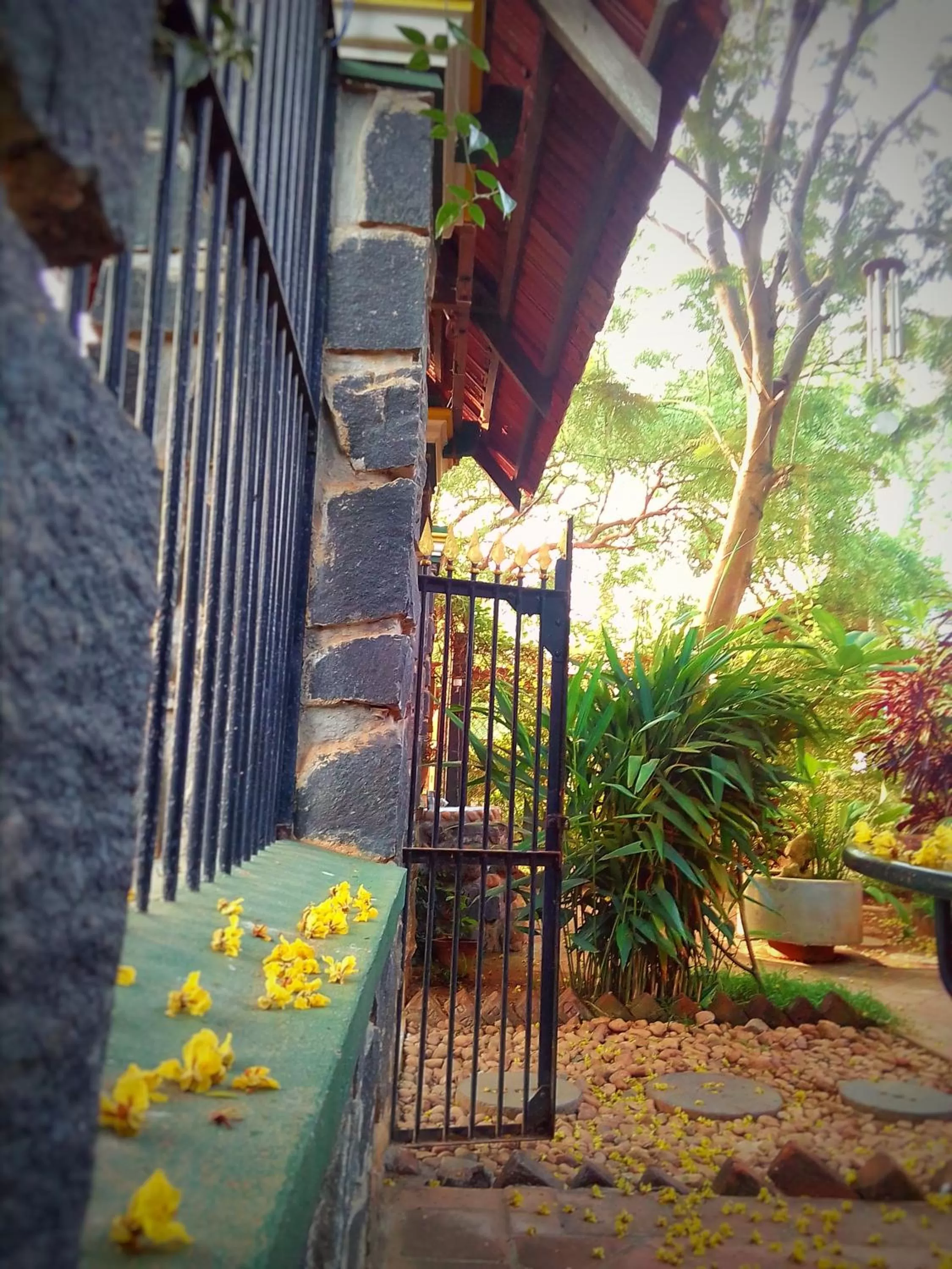 Garden in Green's Guest House