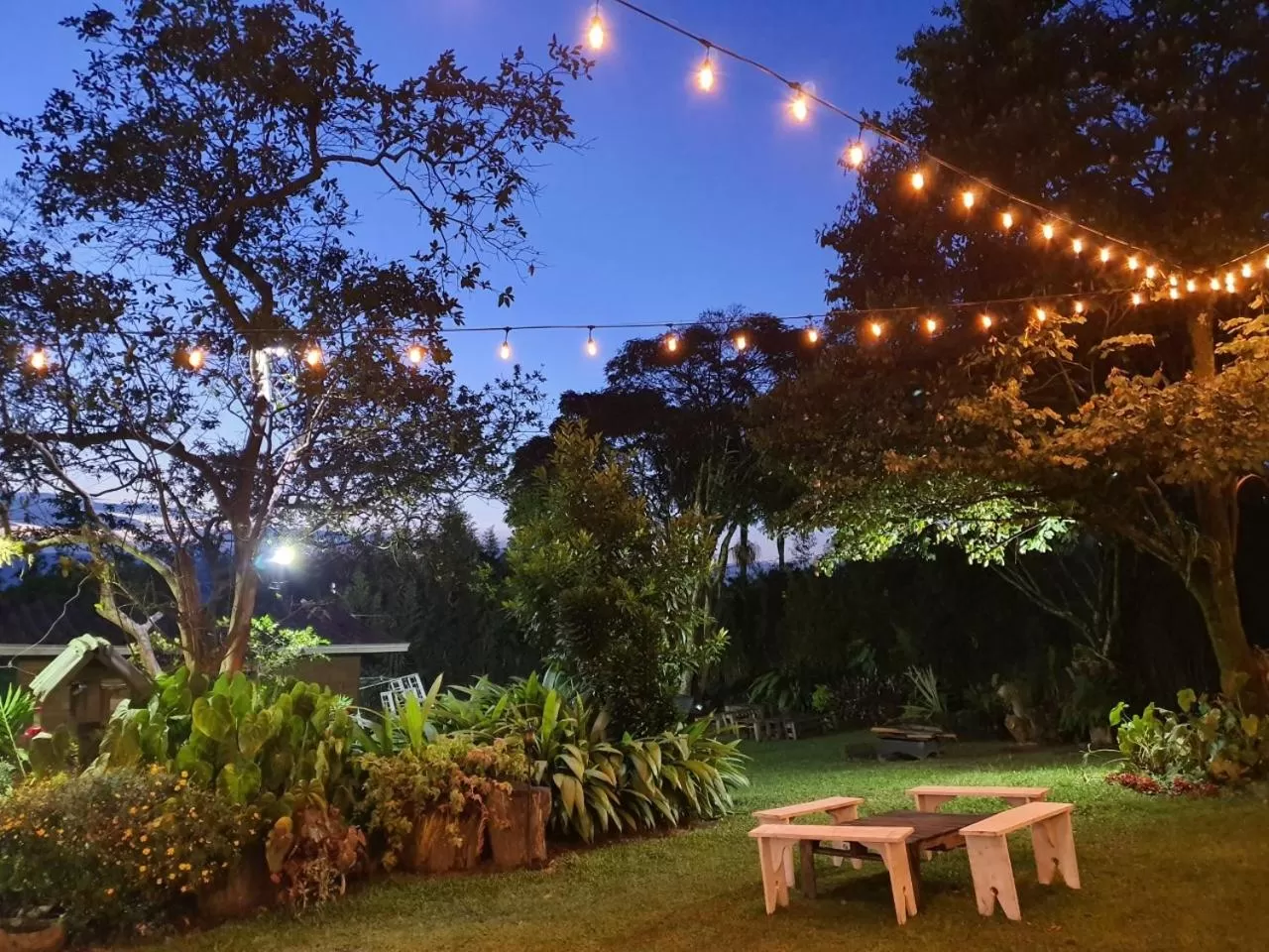 Property building, Garden in Hotel Casa Madero