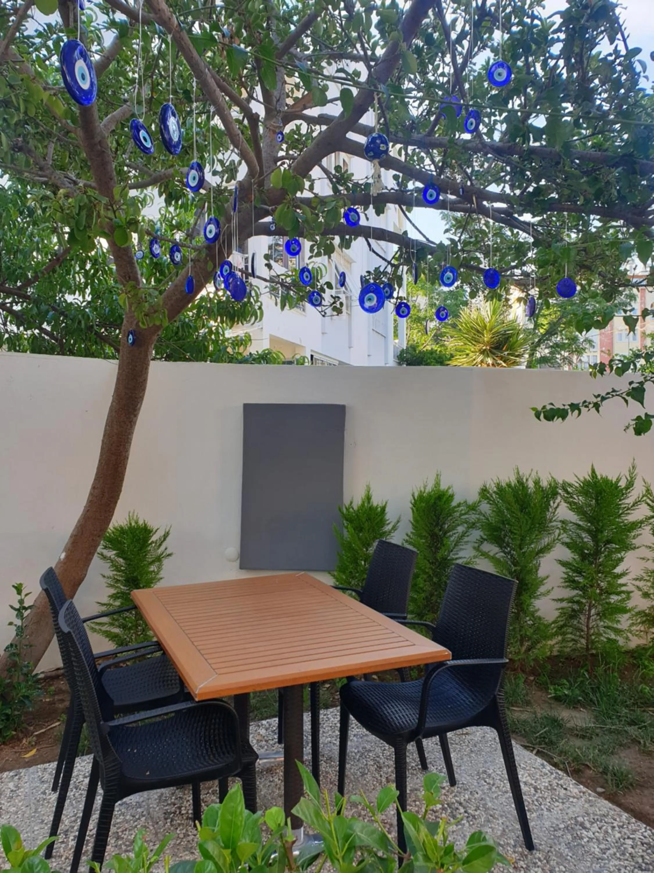 Garden in Esperanza Hotel