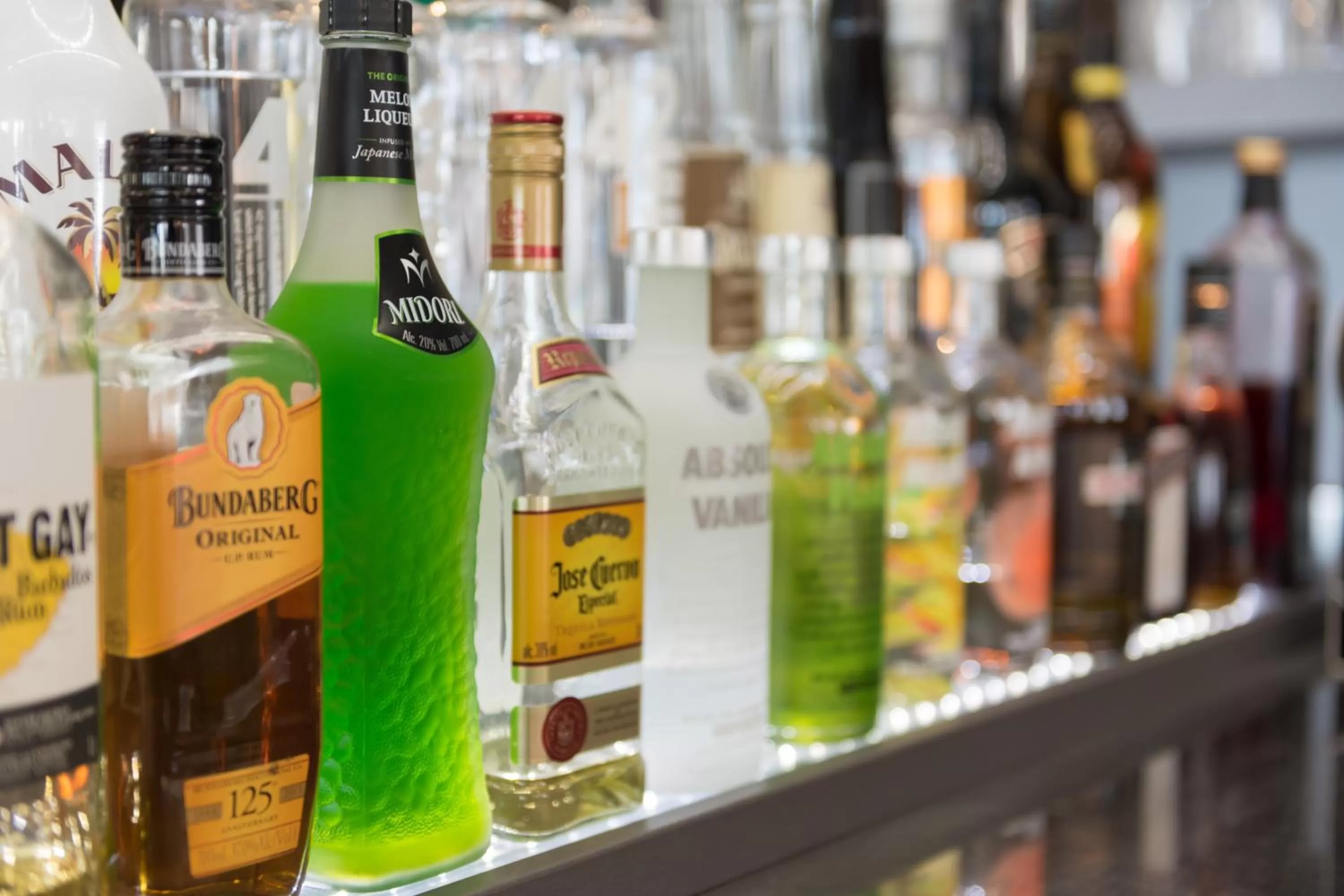 Lounge or bar in Kingsgate Hotel Autolodge Paihia