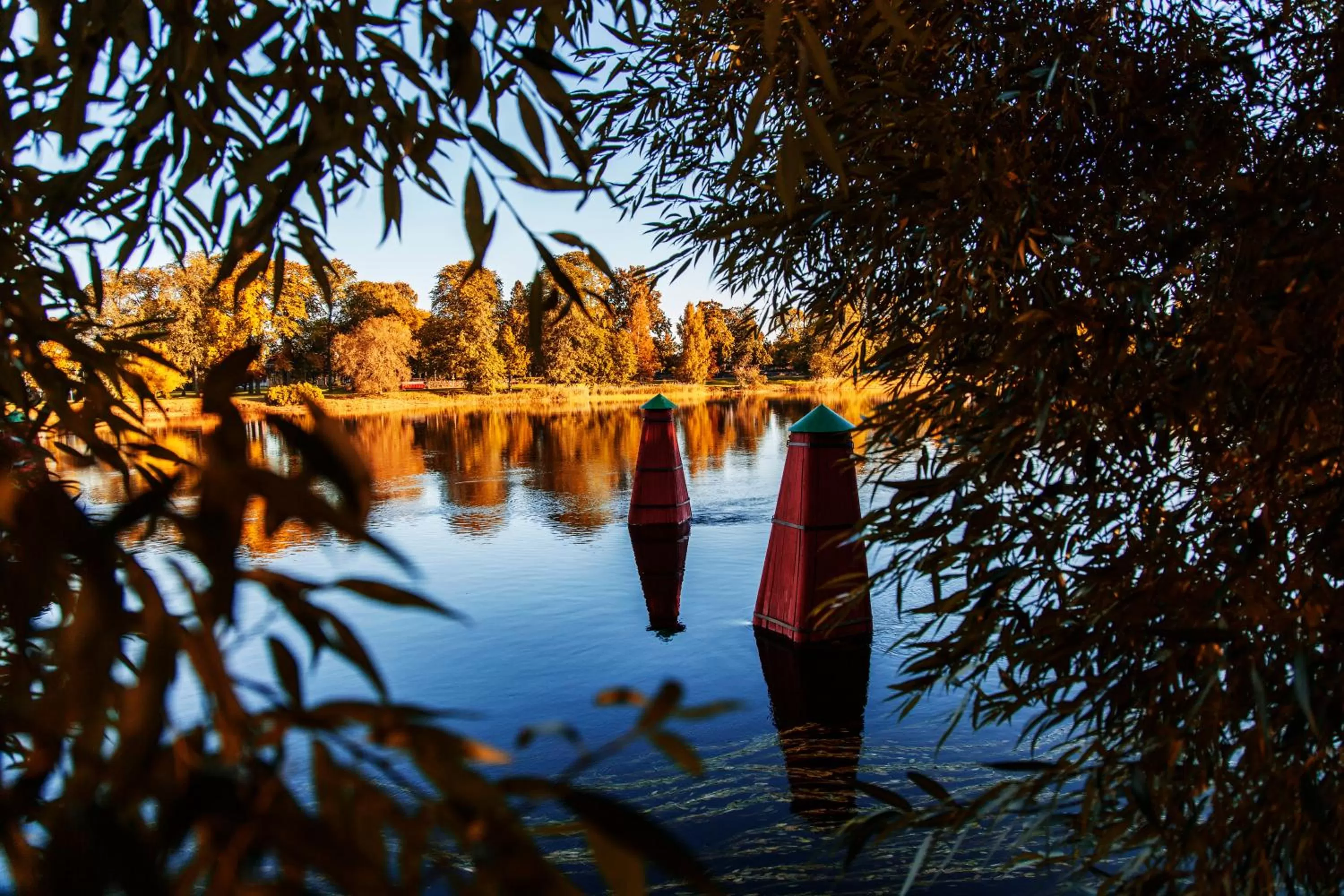 Area and facilities in Best Western Hotel River C