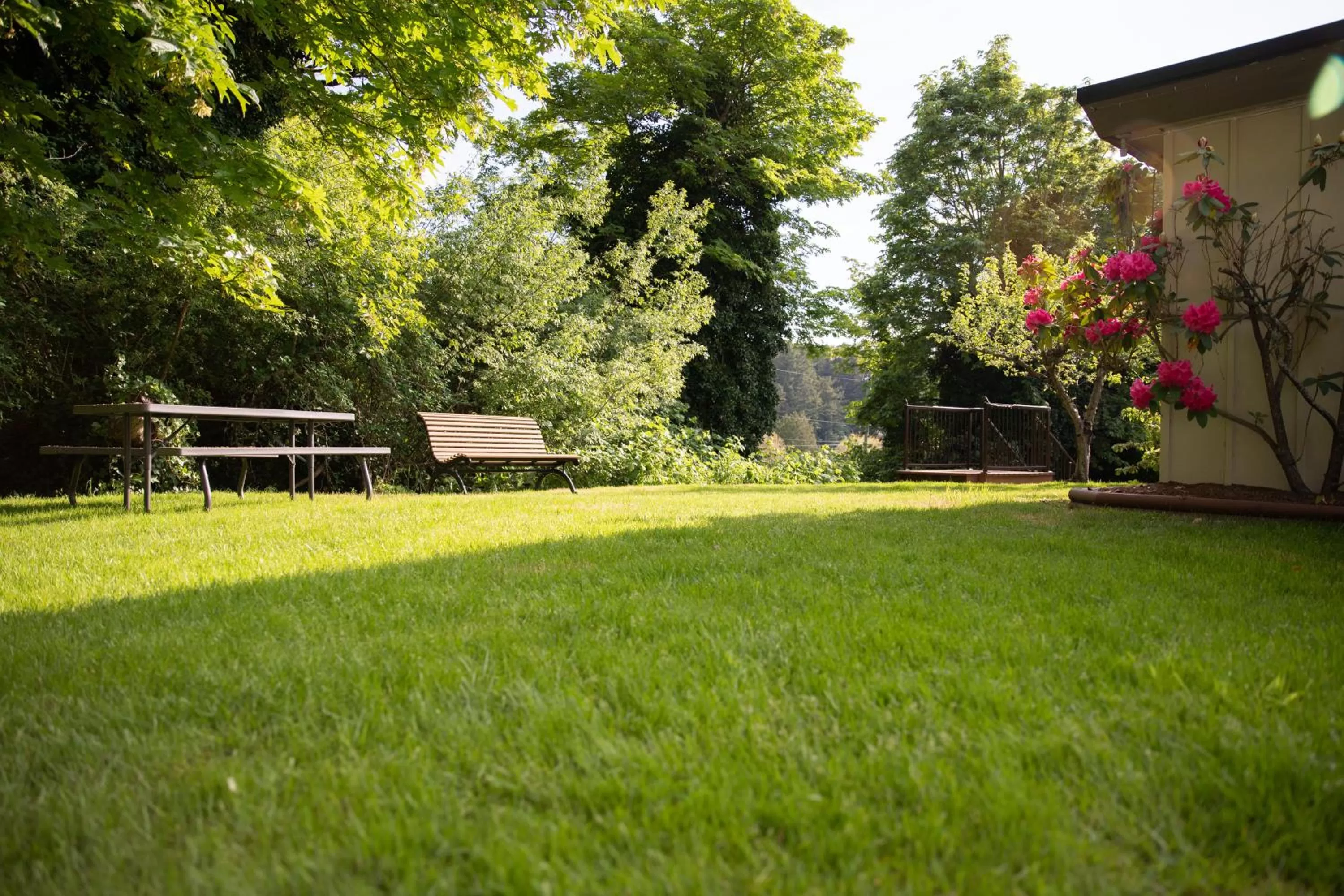 Garden in Cherry Tree Inn