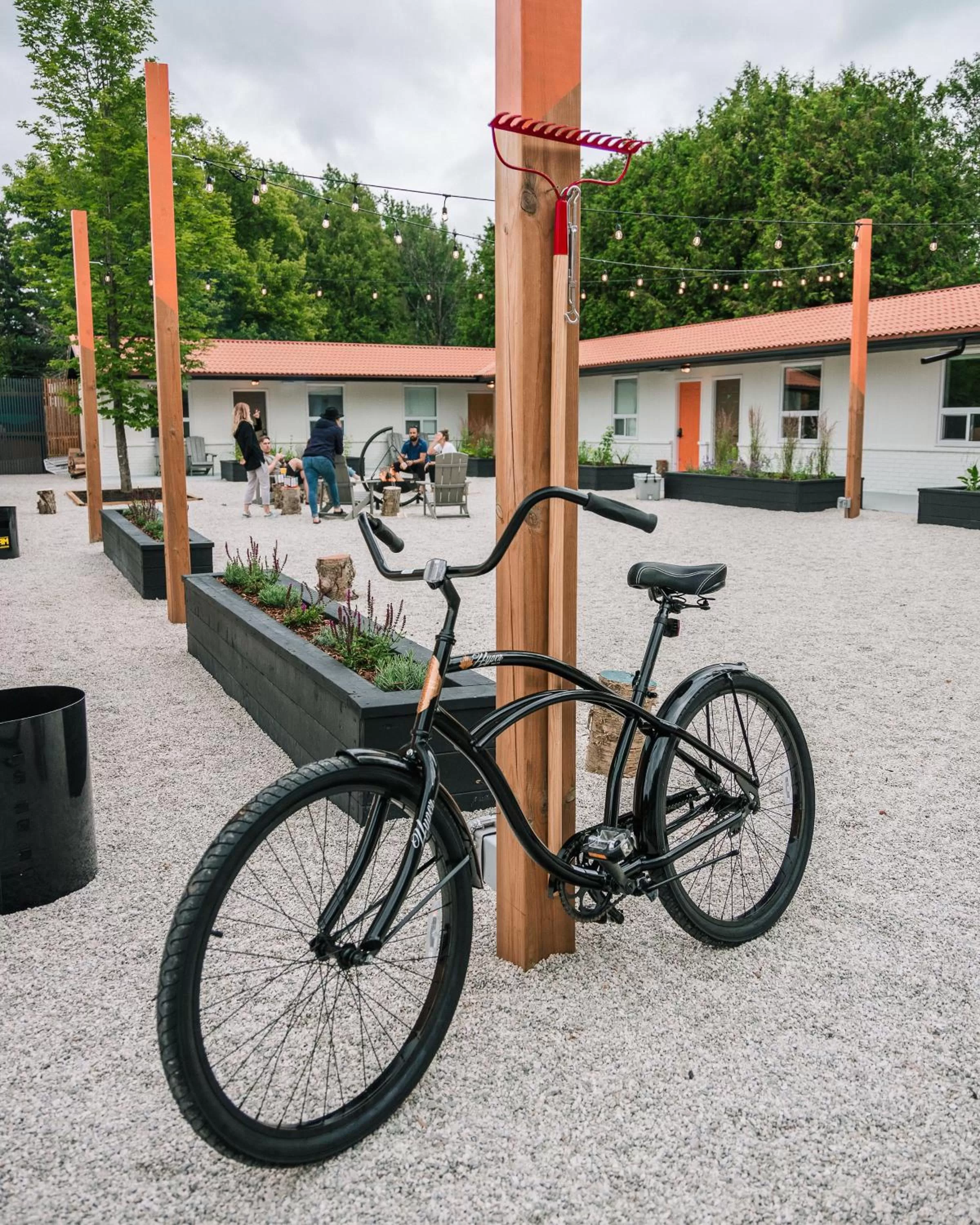 Other Activities in Penny's Motel