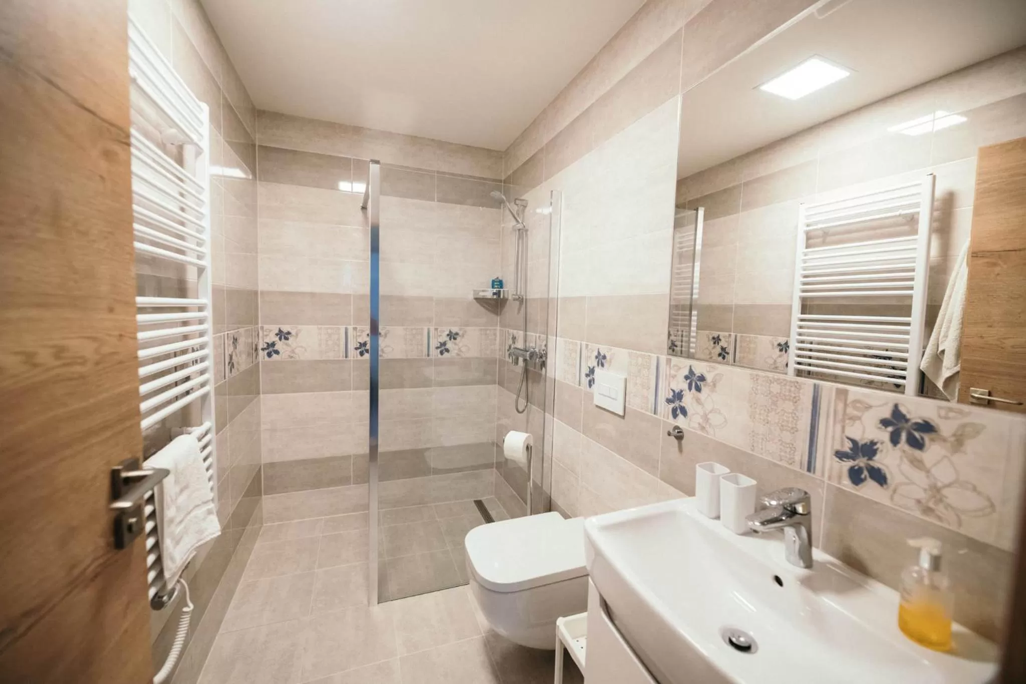 Toilet in Vila Jáchymov