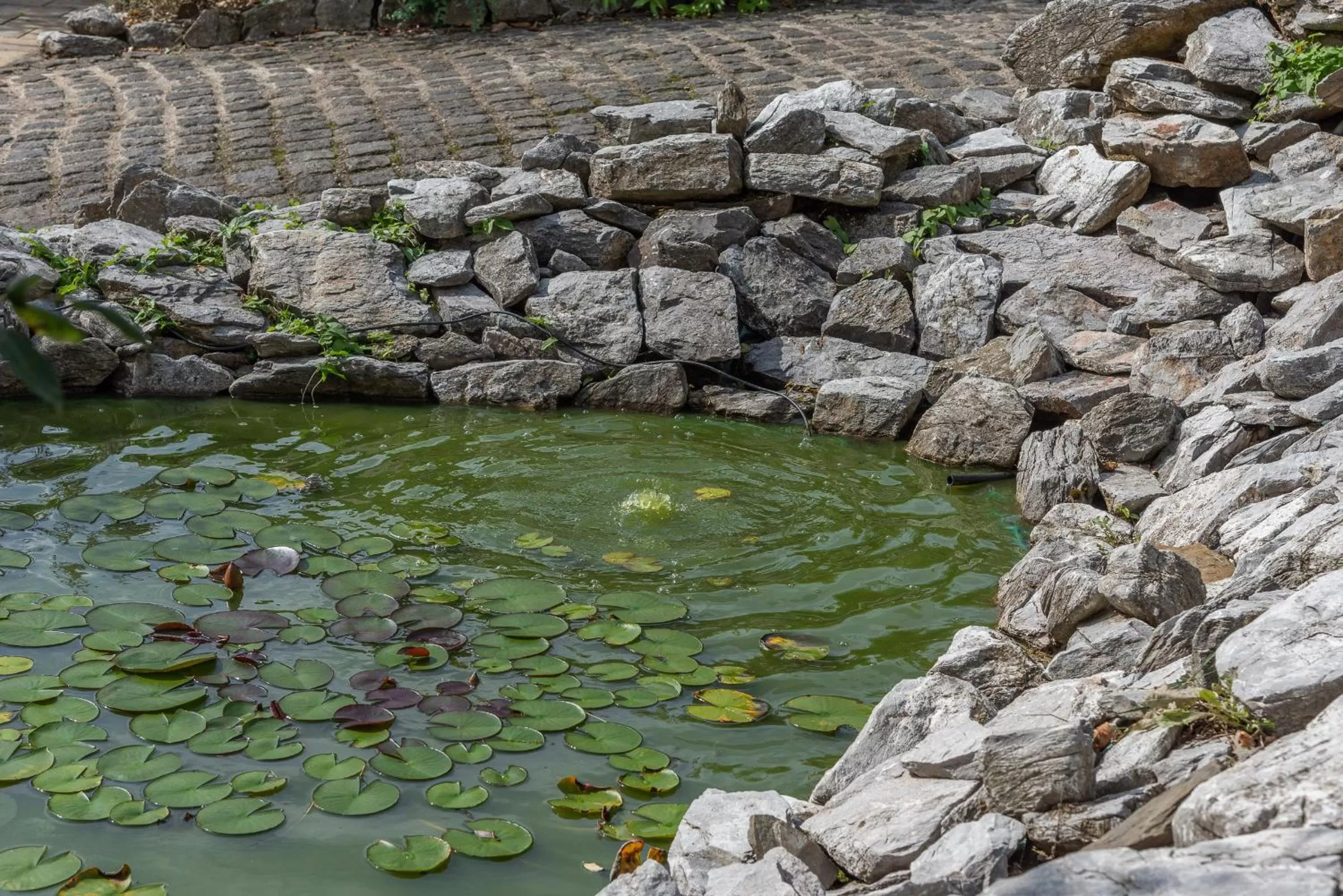 Garden in Struck Landhotel & SPA