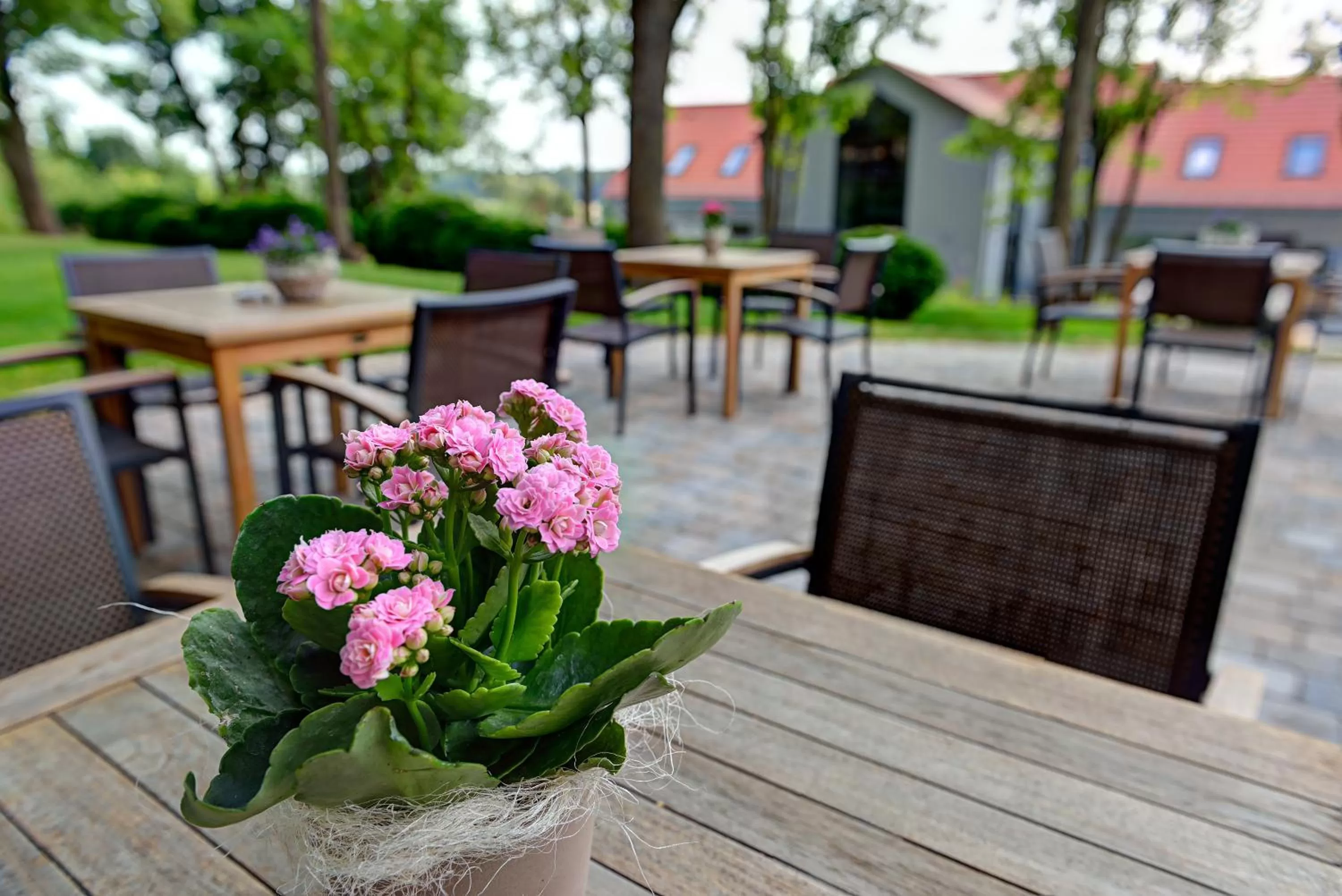 Balcony/Terrace in ARTHOTEL Kiebitzberg